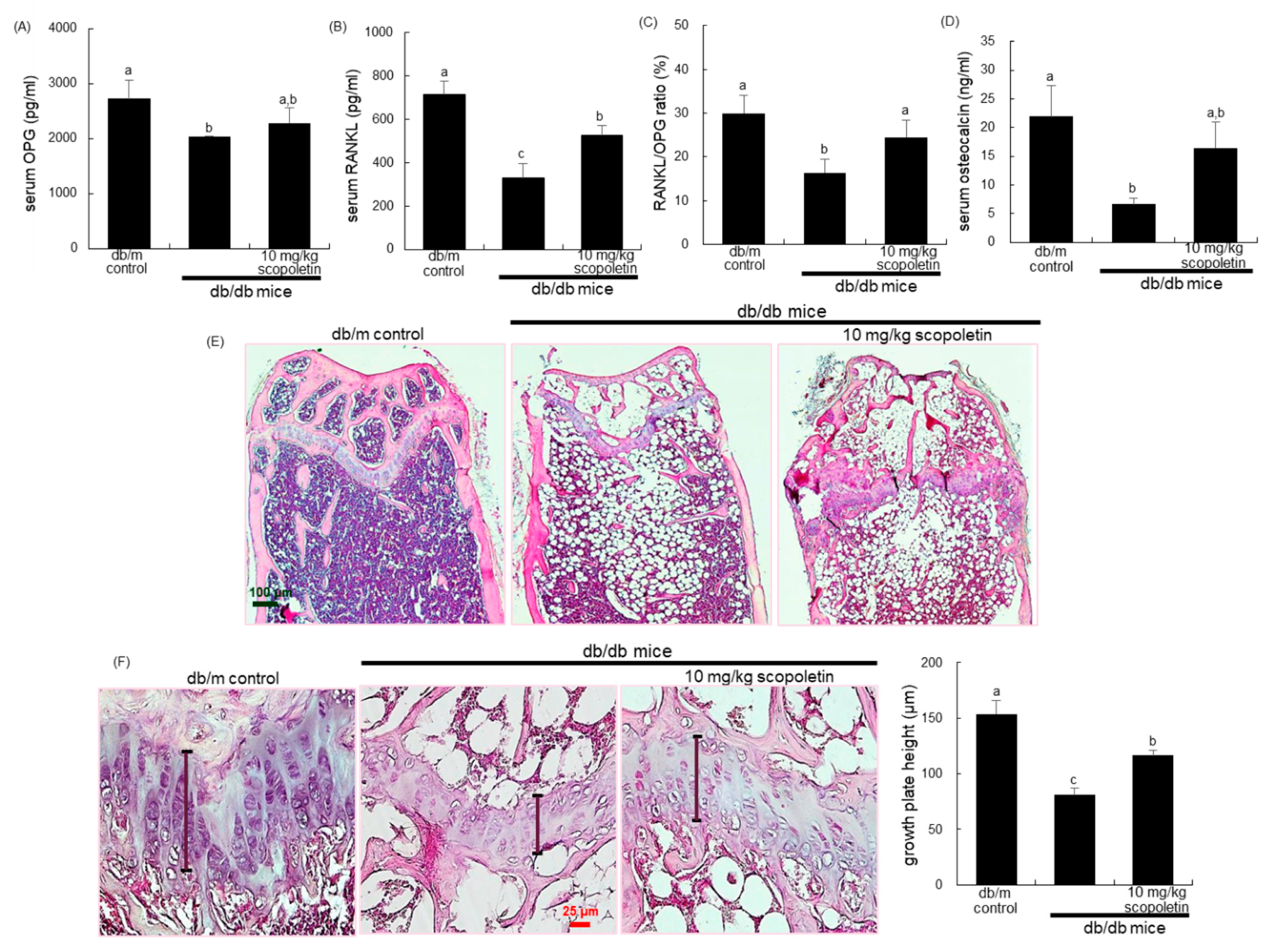 Biomedicines 09 00648 g004