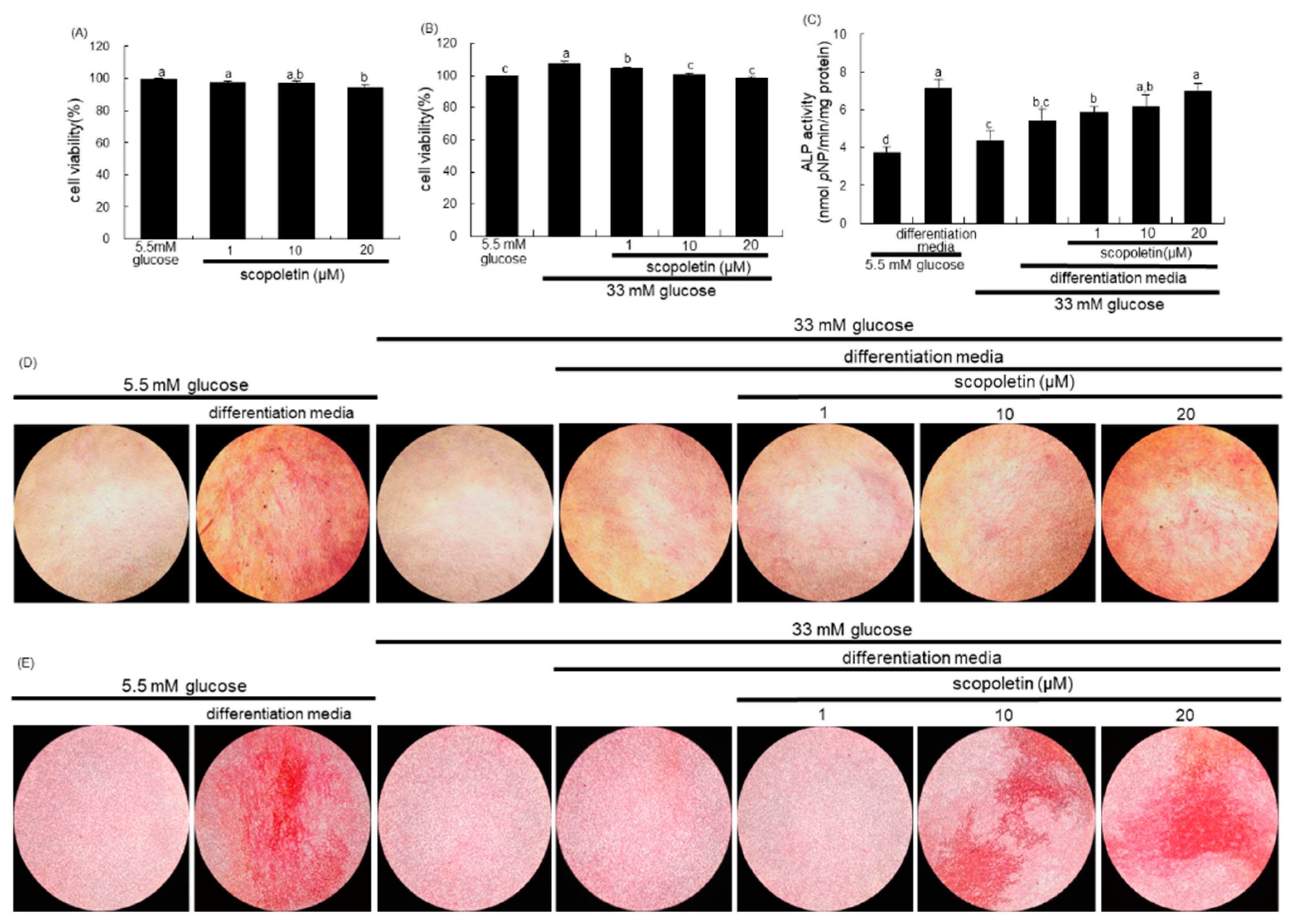 Biomedicines 09 00648 g006