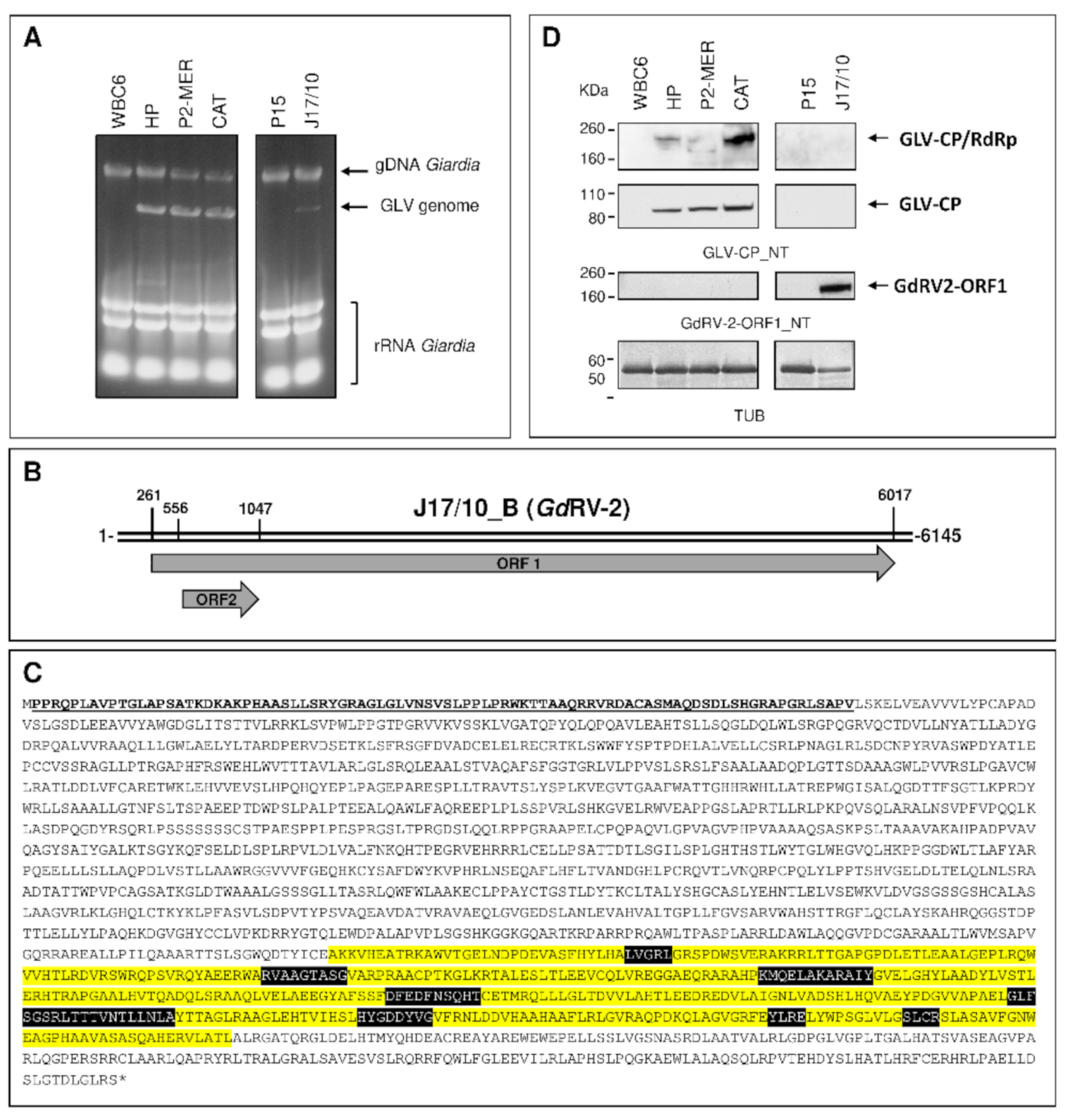 Biomedicines 09 00654 g001