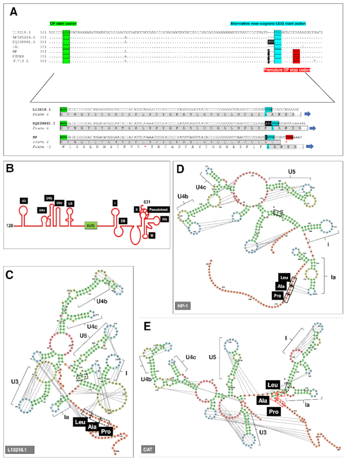 Biomedicines 09 00654 g002