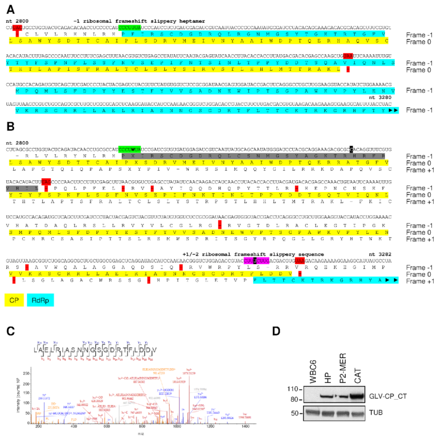 Biomedicines 09 00654 g003