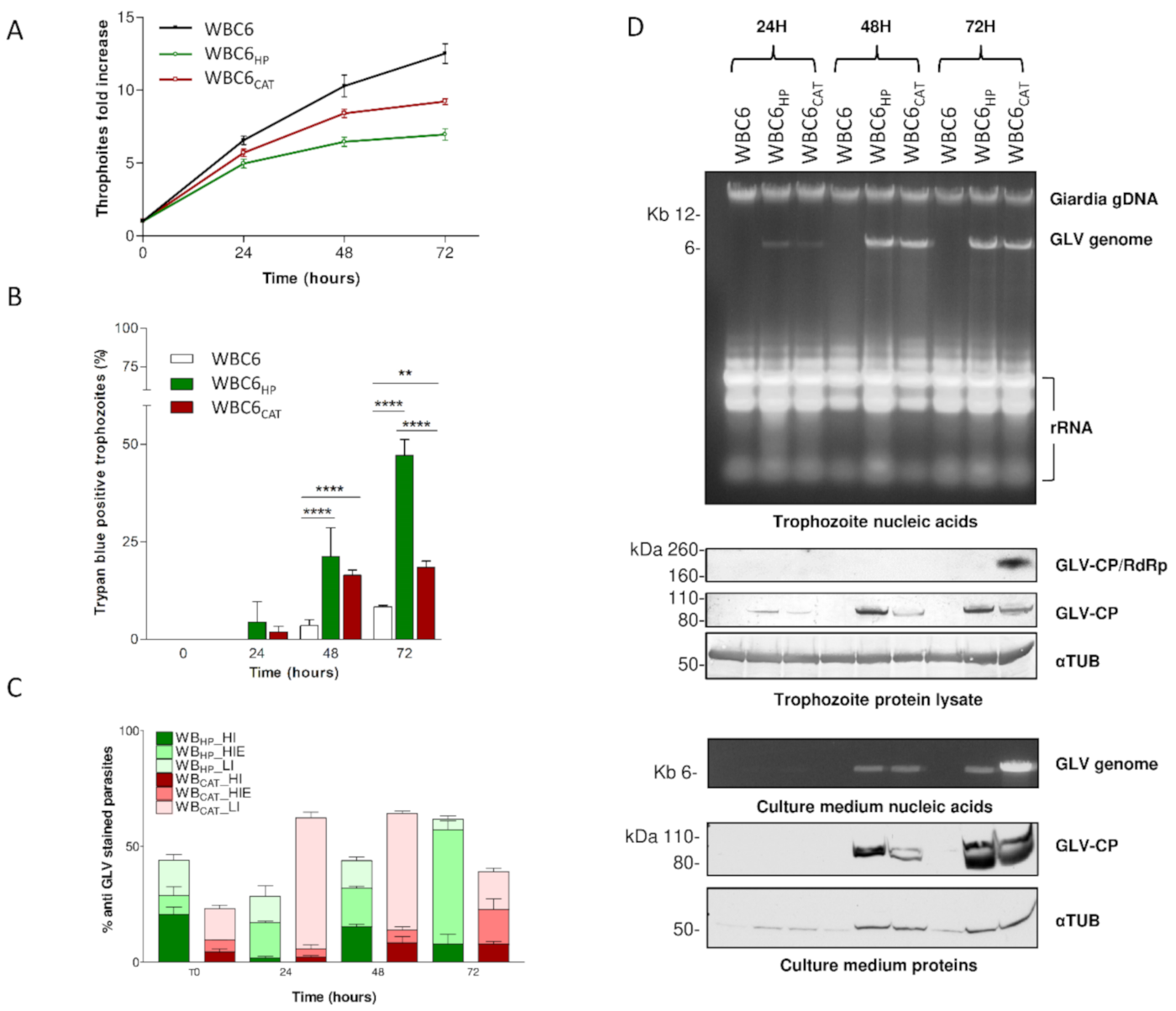 Biomedicines 09 00654 g007