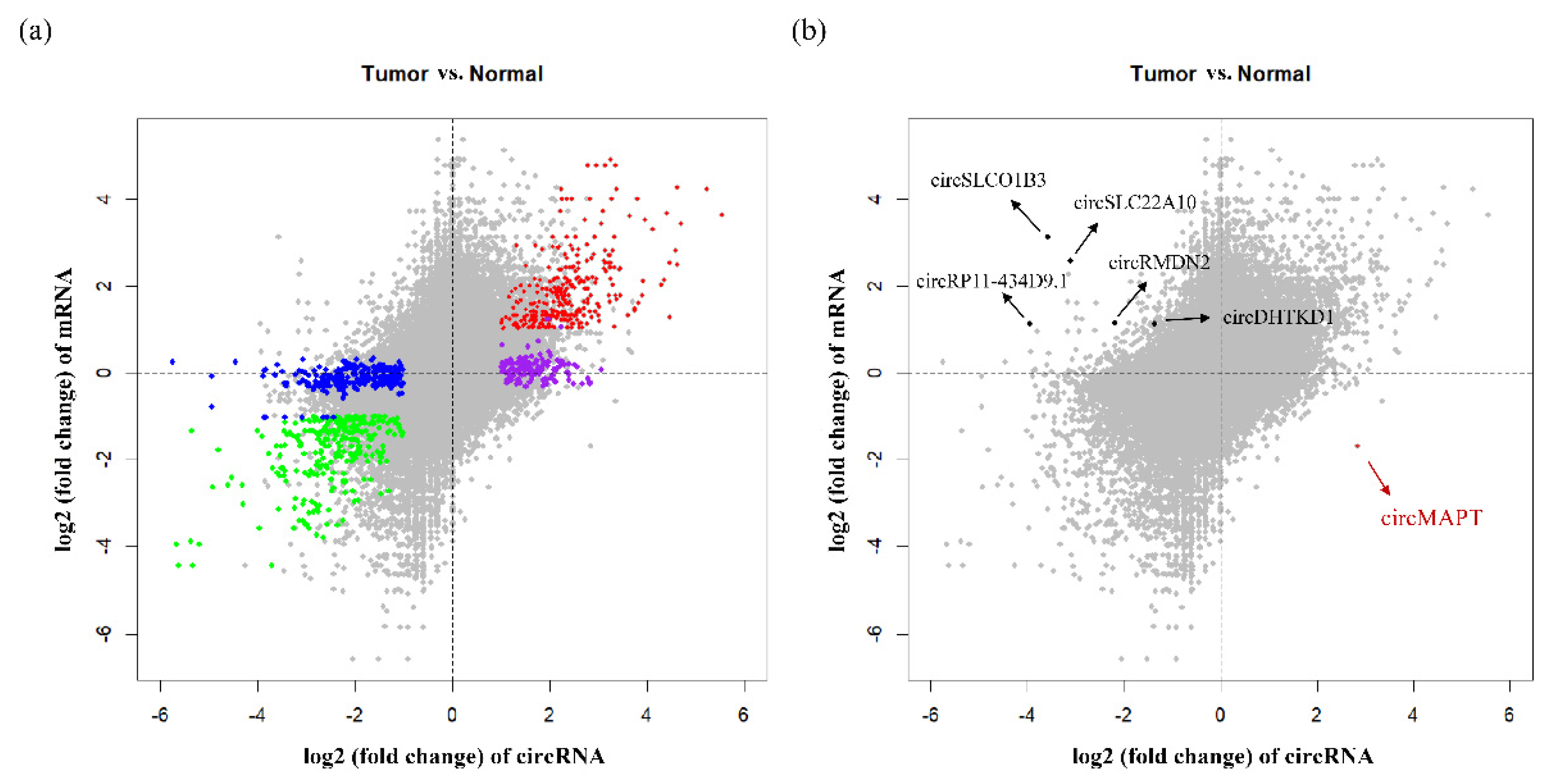 Biomedicines 09 00657 g004