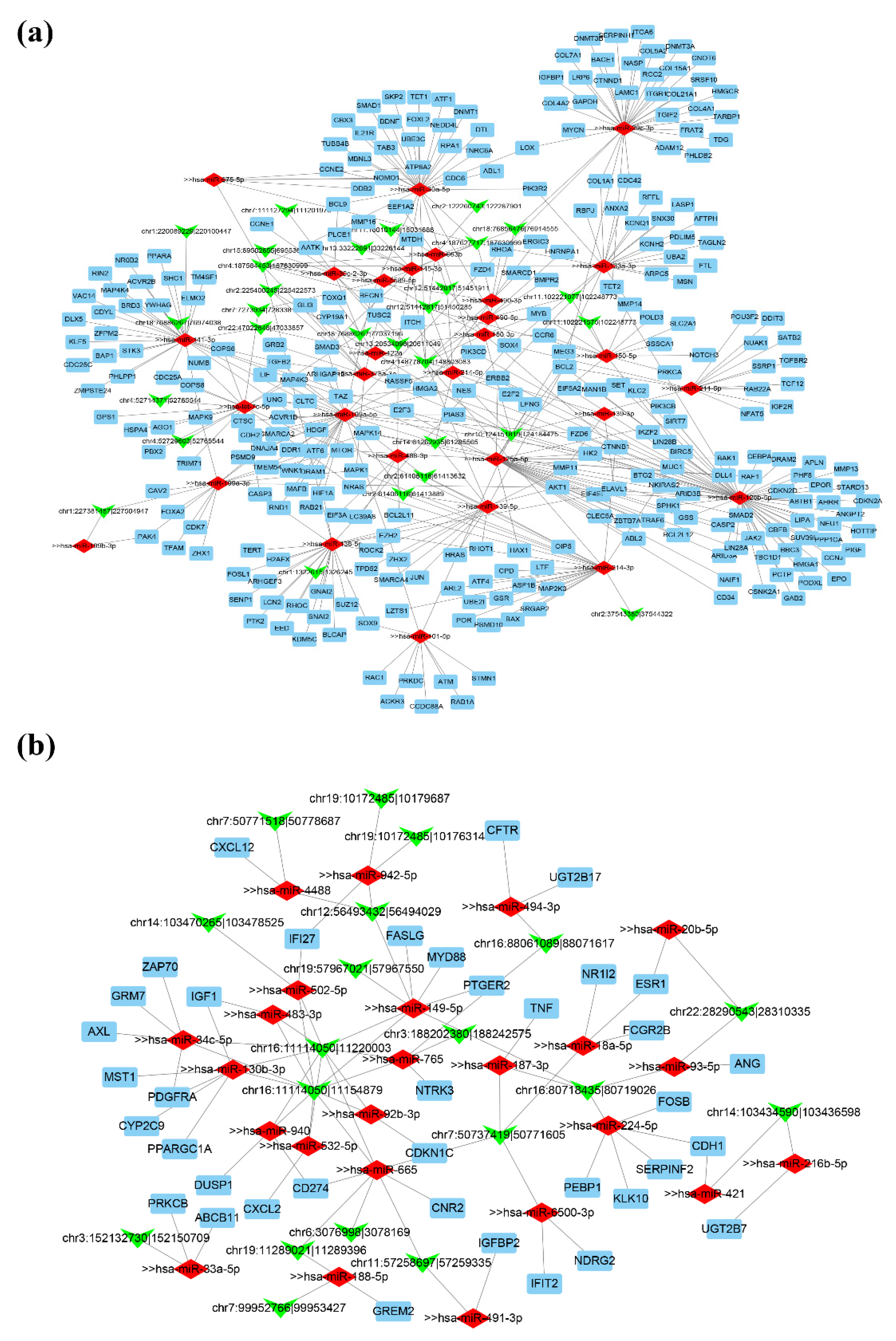 Biomedicines 09 00657 g006