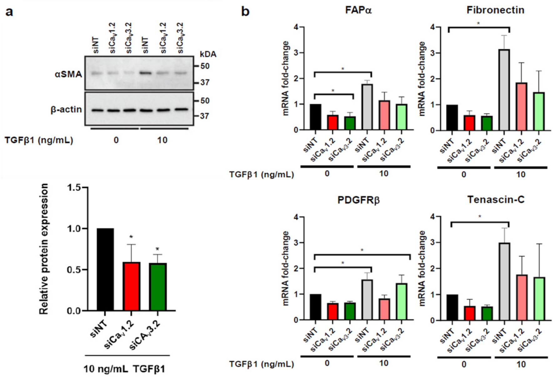 Biomedicines 09 00680 g004 Biomedicines 09 00680 g004
