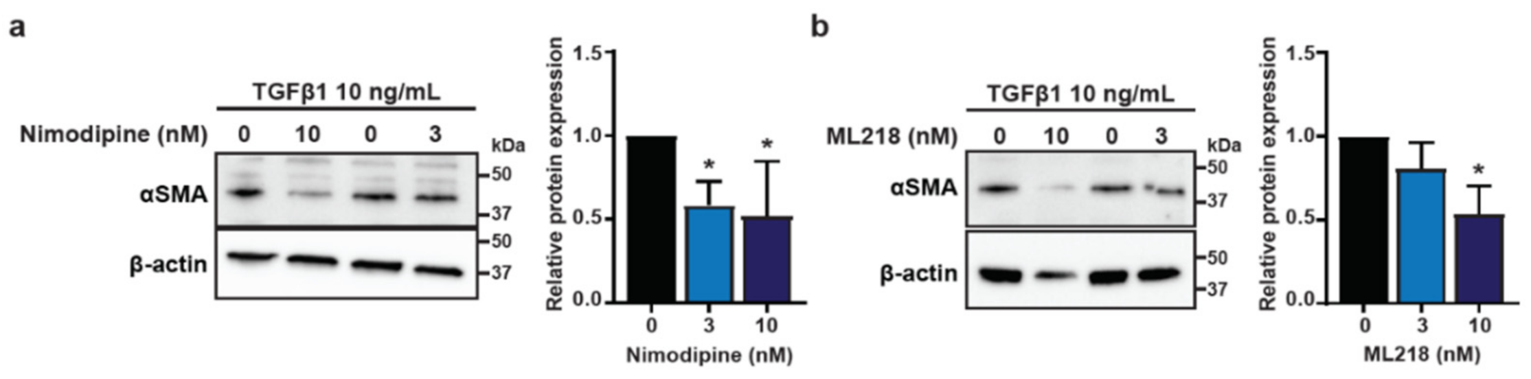 Biomedicines 09 00680 g005 Biomedicines 09 00680 g005