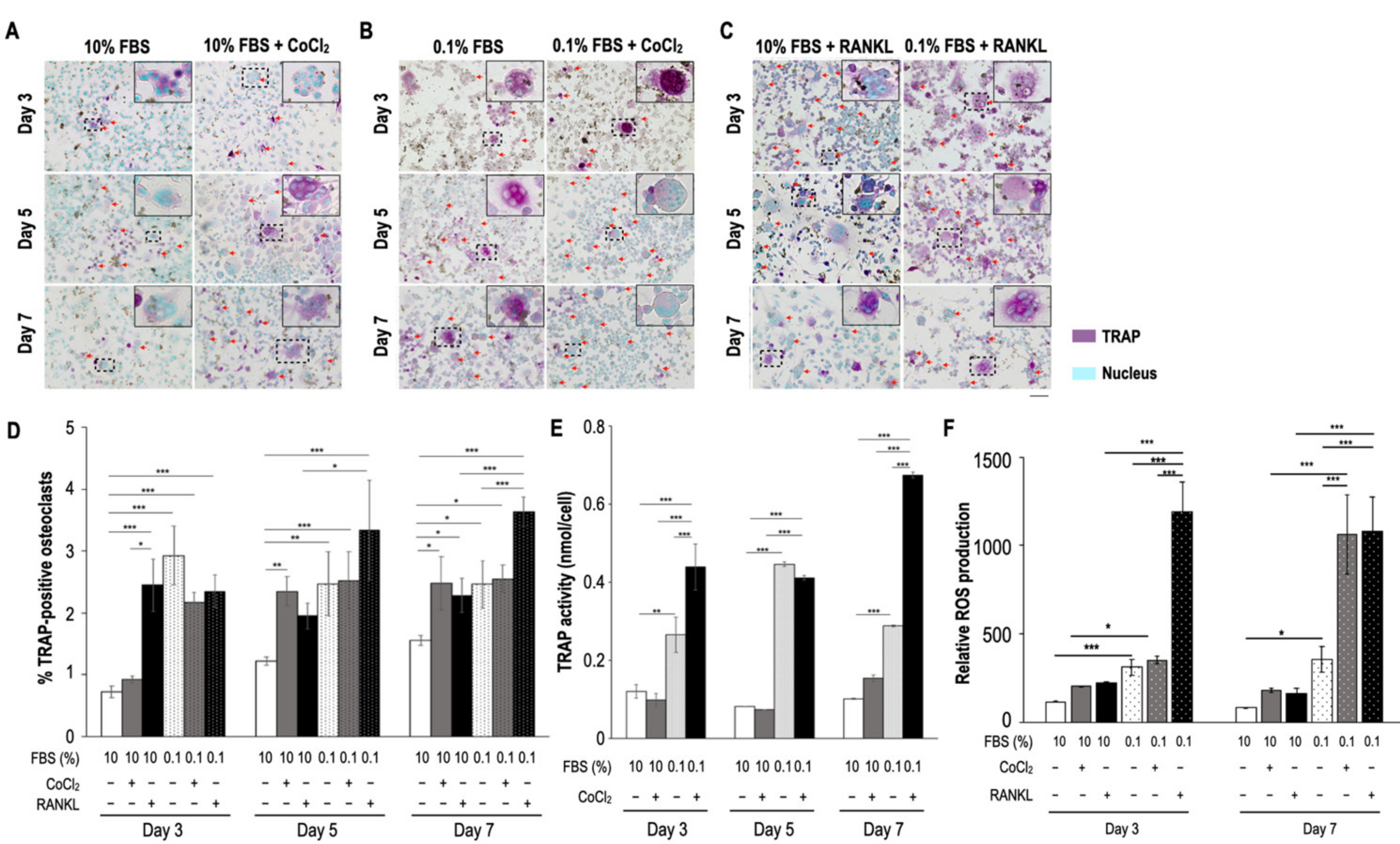 Biomedicines 09 00685 g001 Biomedicines 09 00685 g001