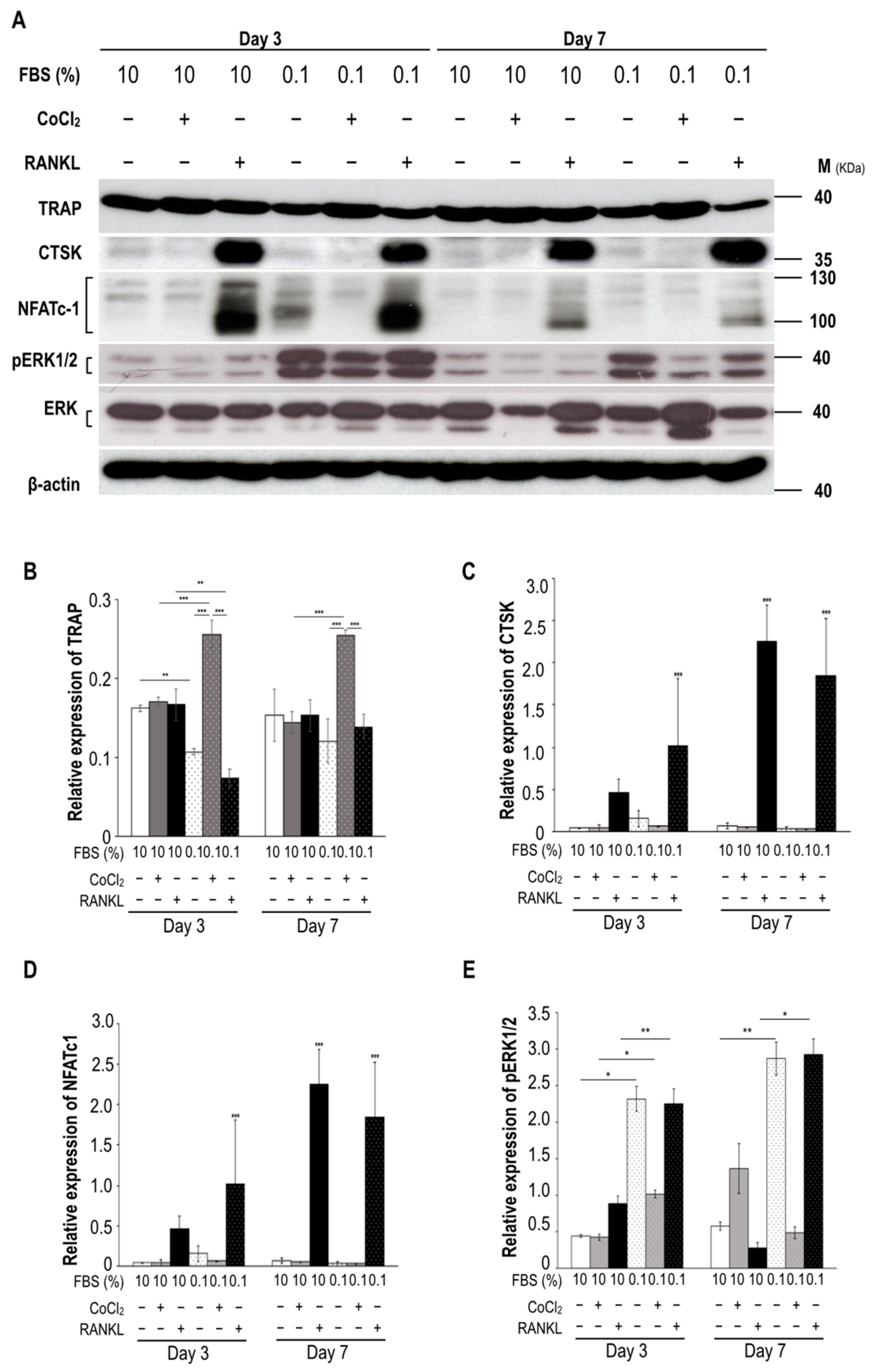 Biomedicines 09 00685 g002 Biomedicines 09 00685 g002