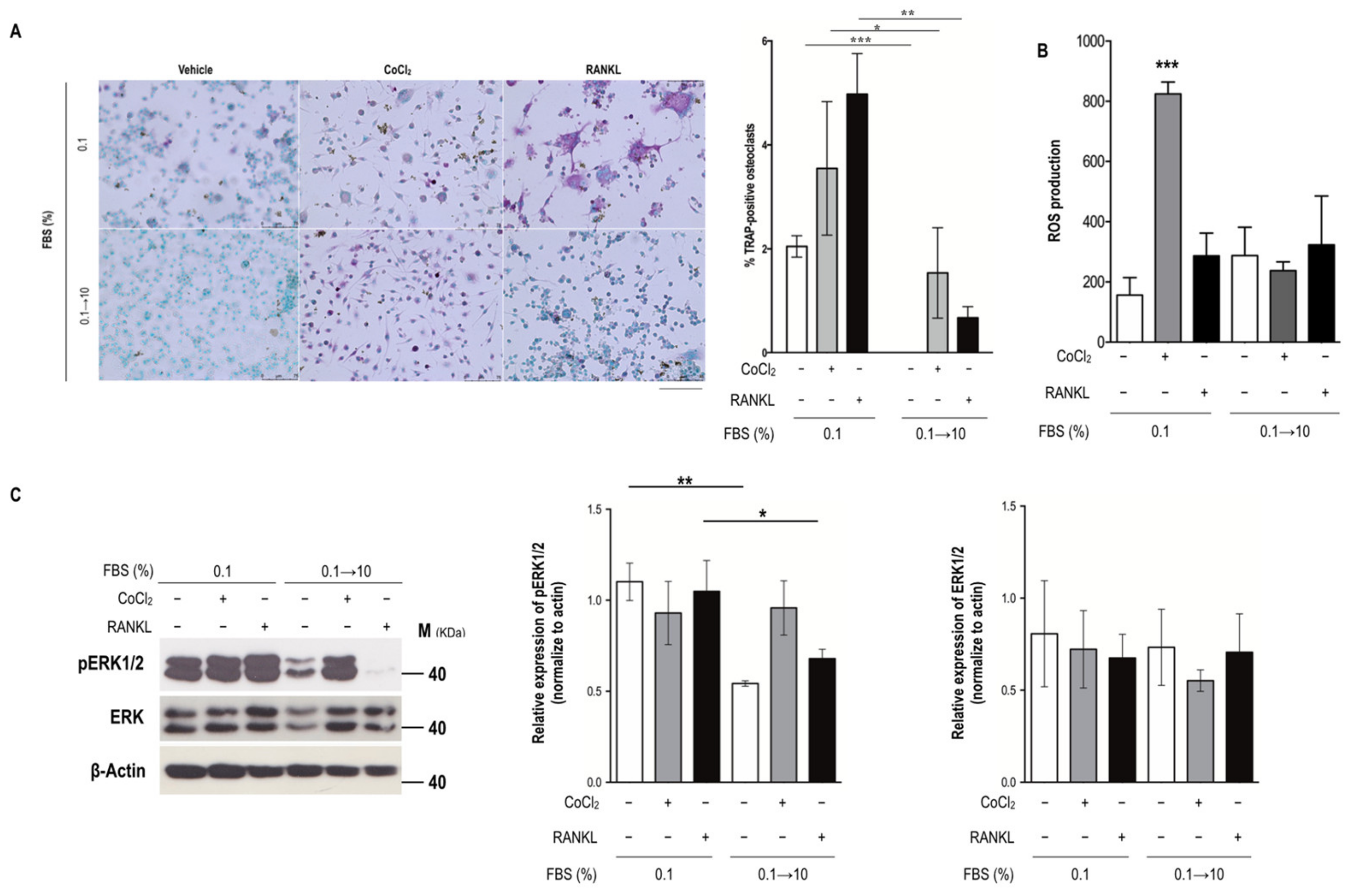 Biomedicines 09 00685 g003 Biomedicines 09 00685 g003