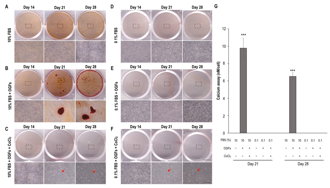 Biomedicines 09 00685 g004 Biomedicines 09 00685 g004
