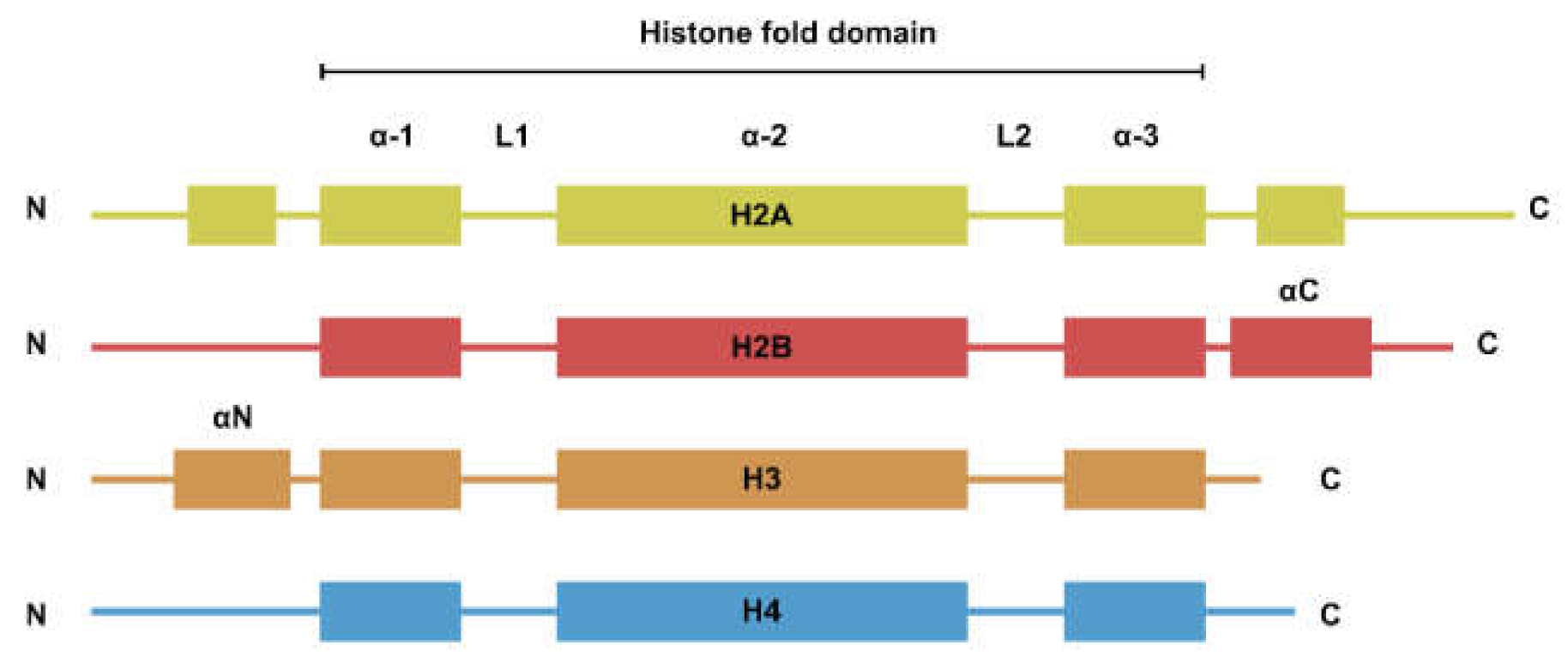 Biomedicines 09 00694 g001