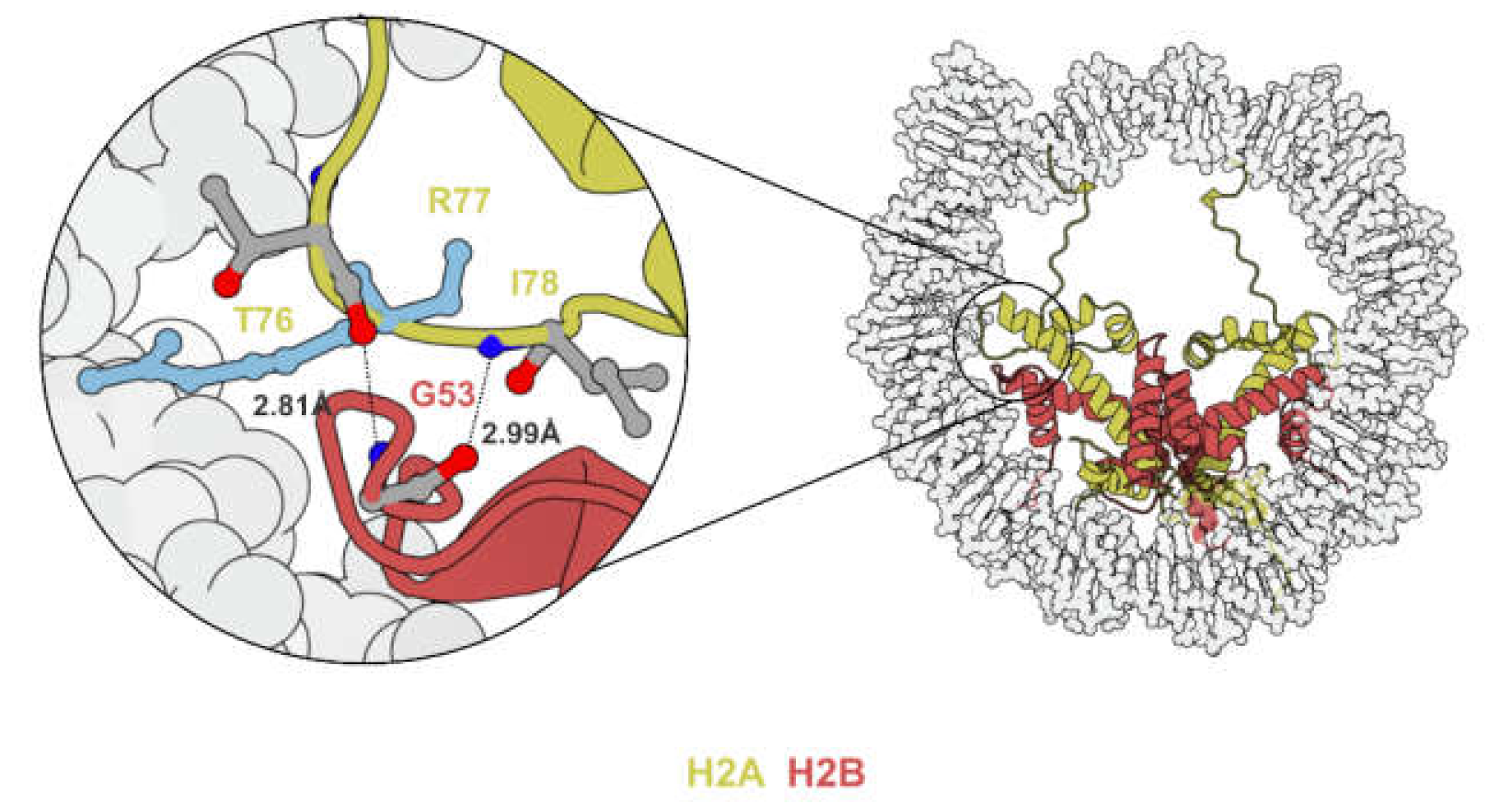 Biomedicines 09 00694 g003