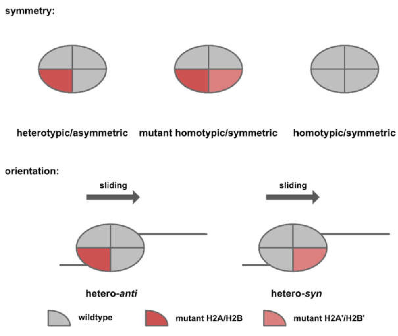 Biomedicines 09 00694 g007