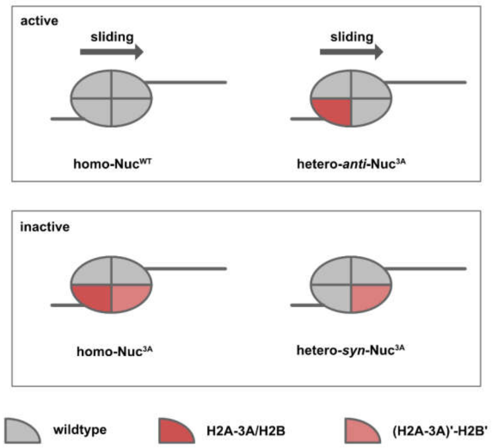 Biomedicines 09 00694 g008