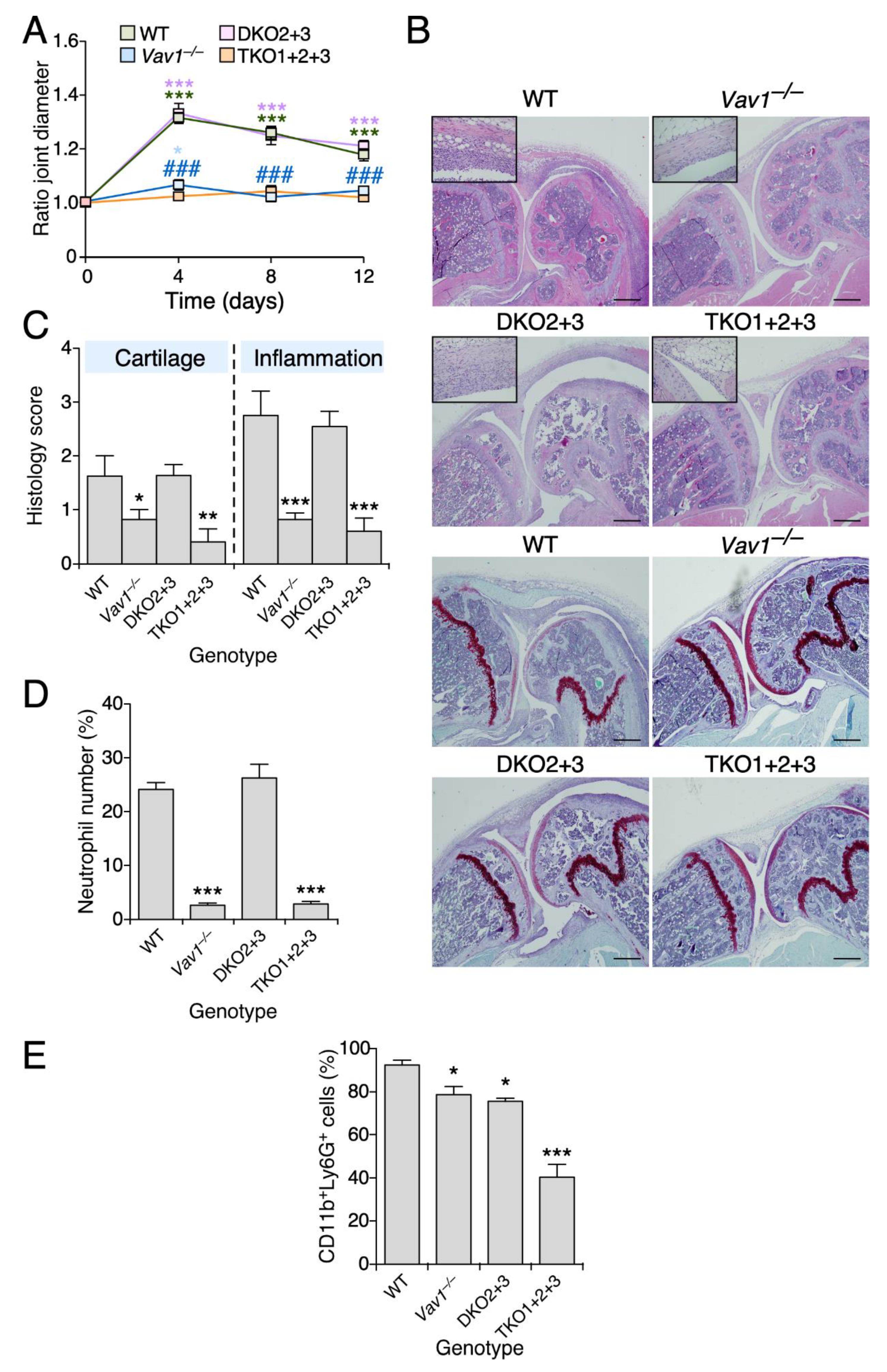 Biomedicines 09 00695 g001 Biomedicines 09 00695 g001