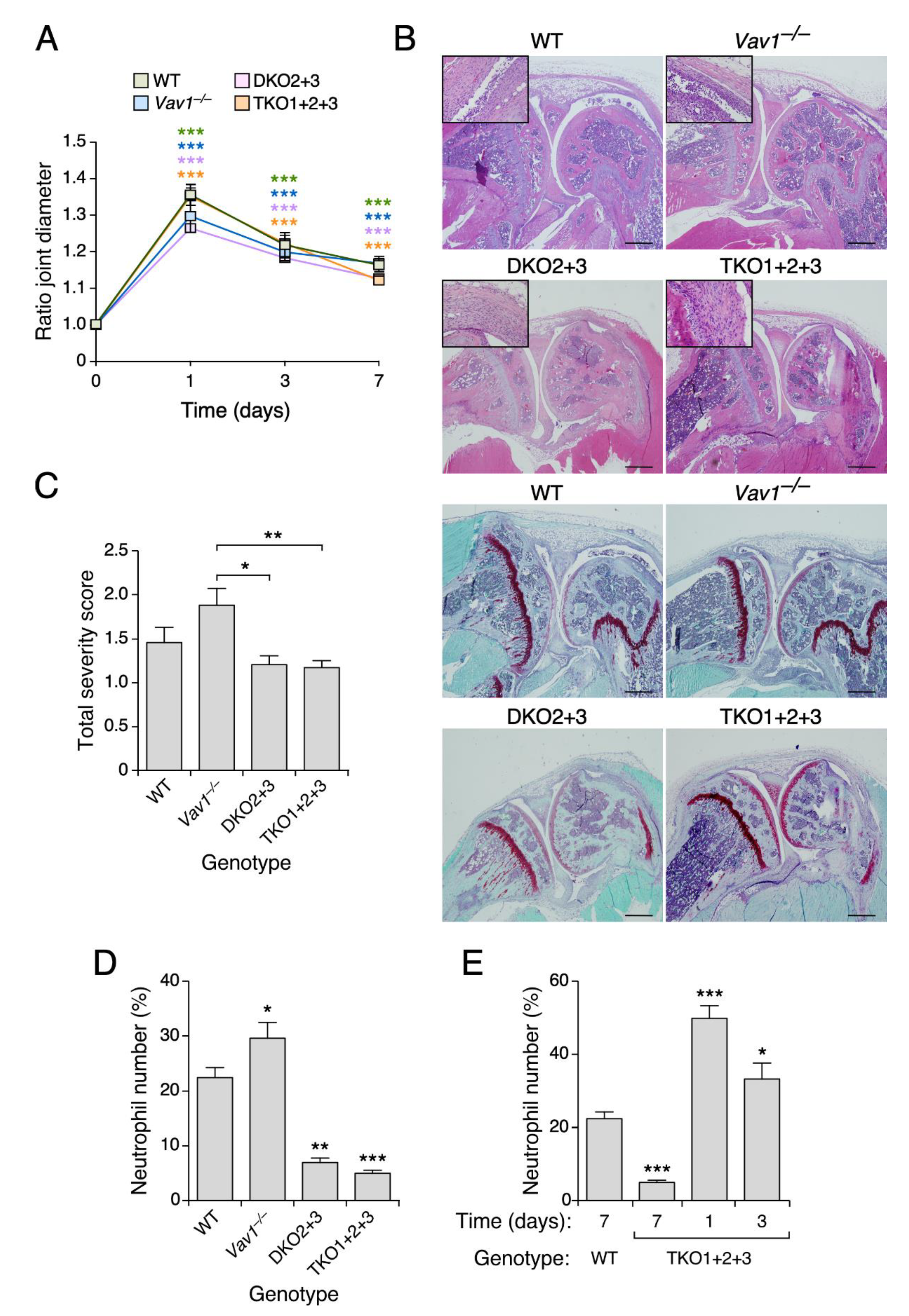 Biomedicines 09 00695 g004 Biomedicines 09 00695 g004