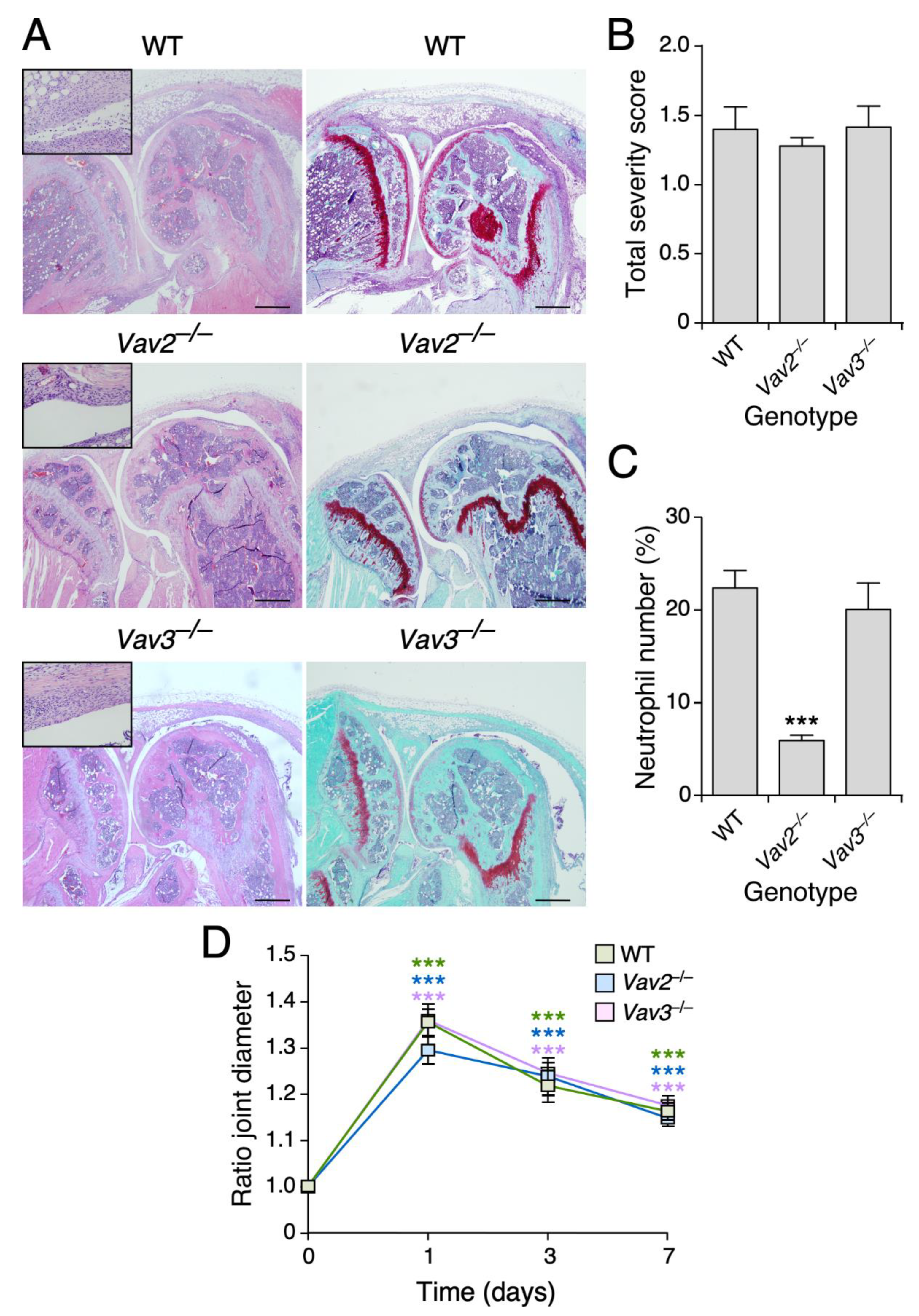 Biomedicines 09 00695 g005 Biomedicines 09 00695 g005