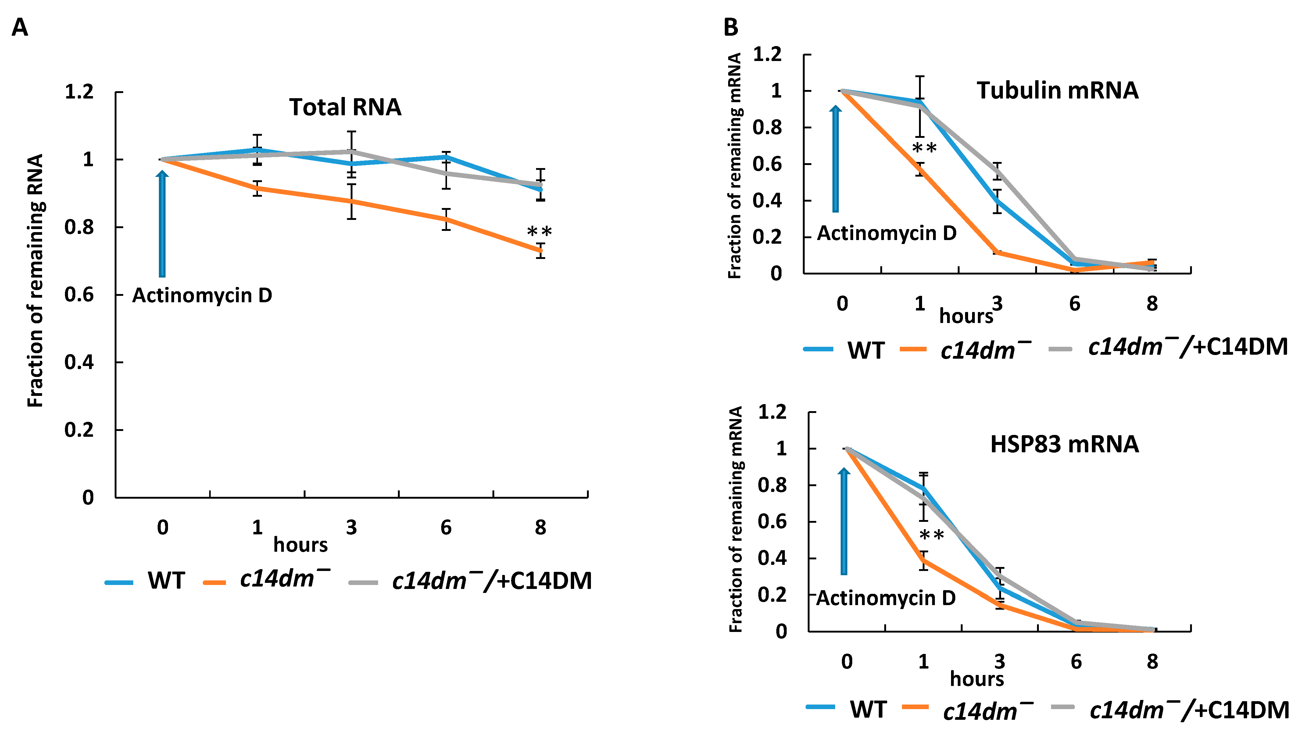 Biomedicines 09 00696 g003