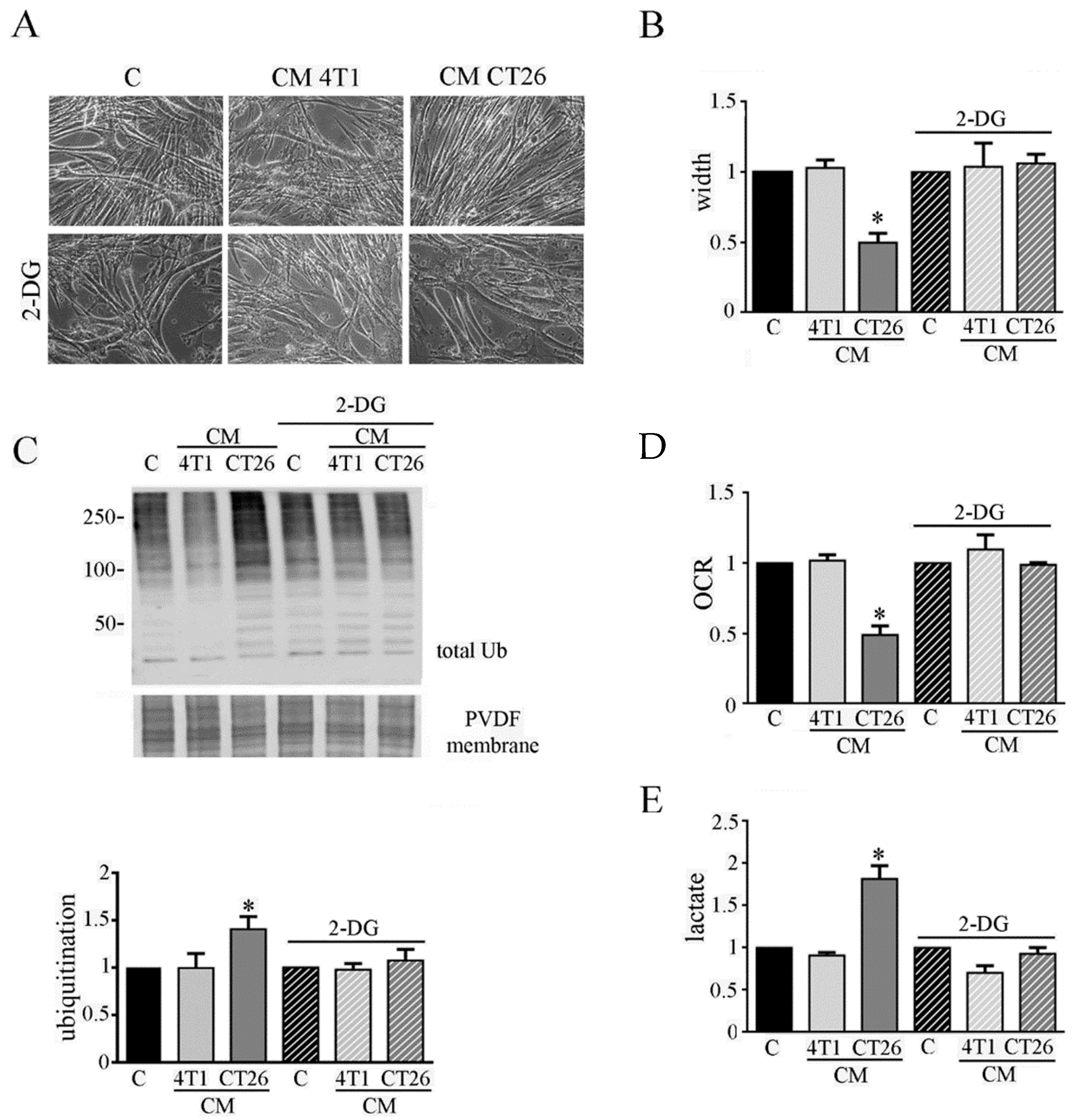 Biomedicines 09 00698 g002