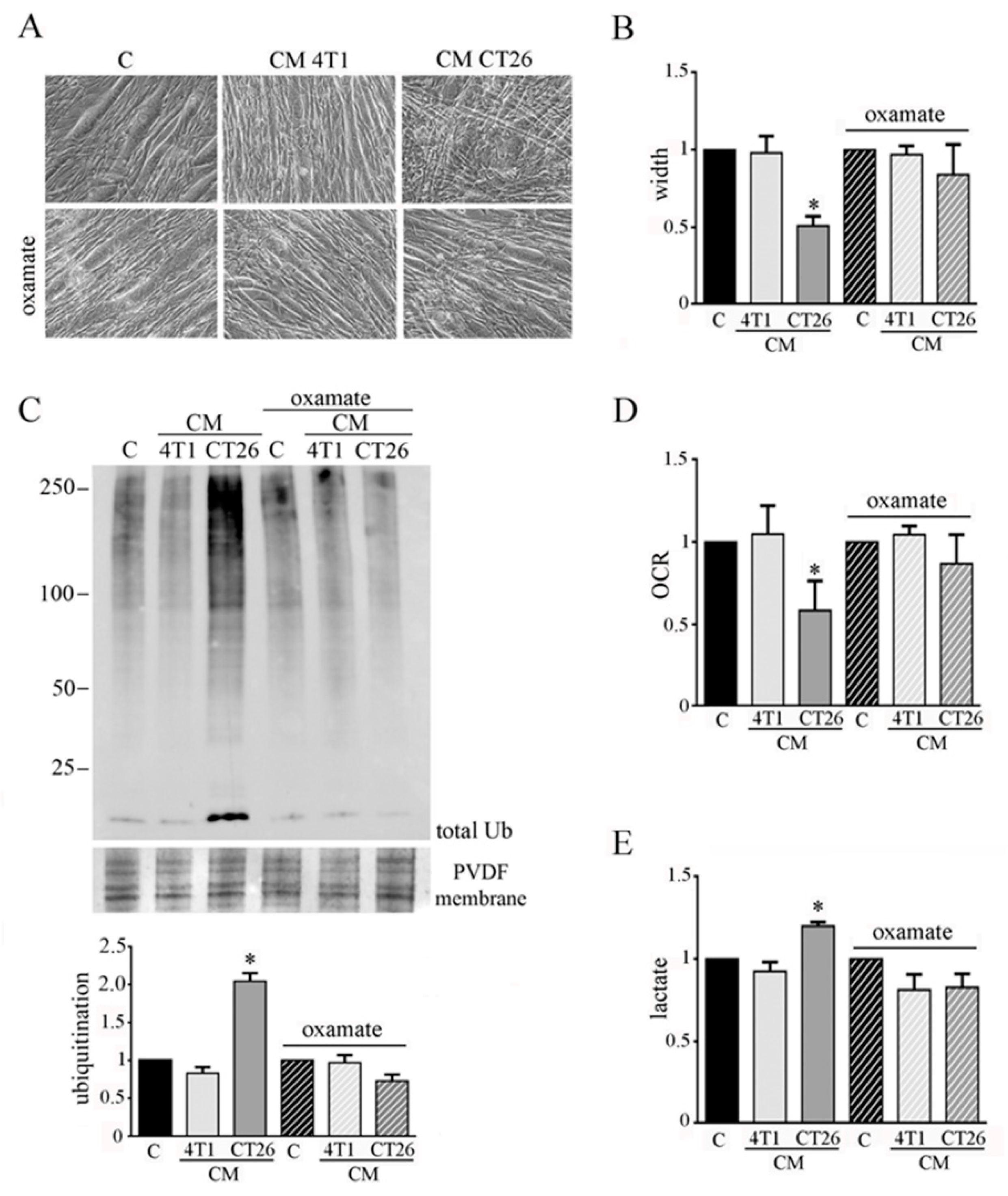 Biomedicines 09 00698 g003