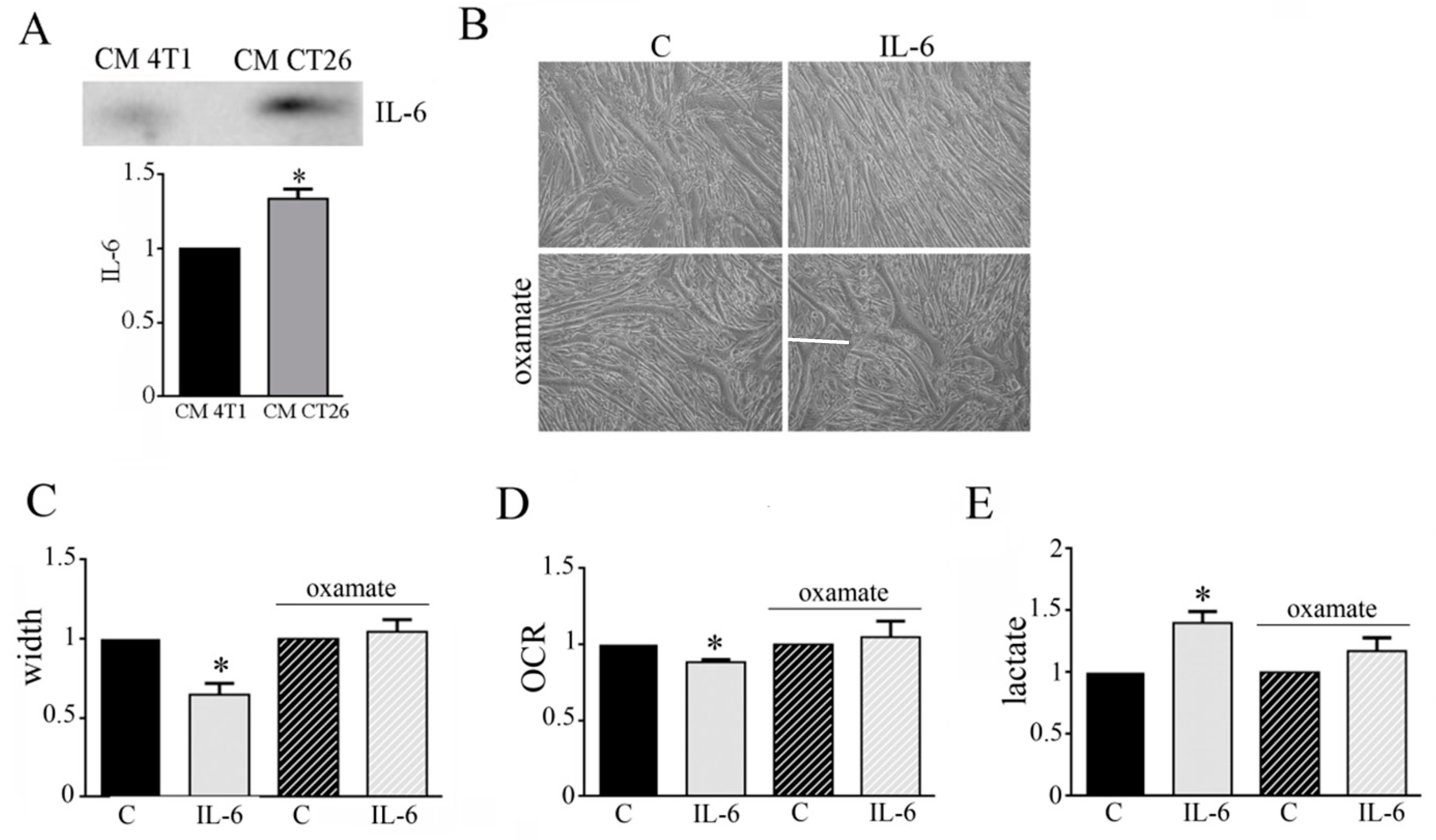 Biomedicines 09 00698 g005