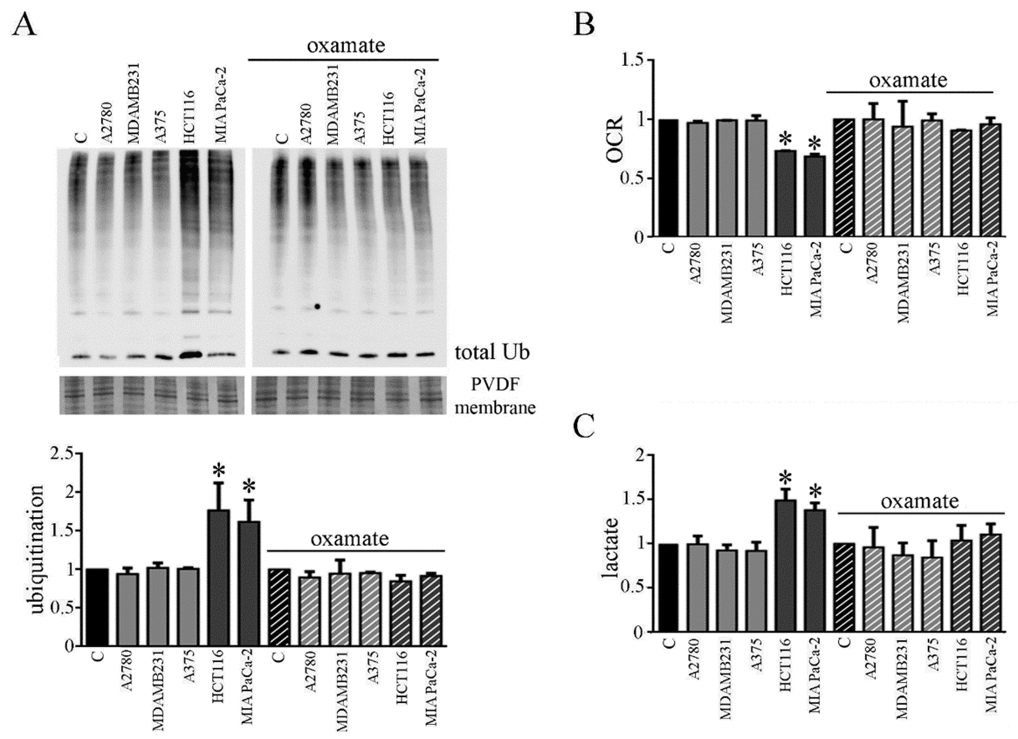 Biomedicines 09 00698 g007