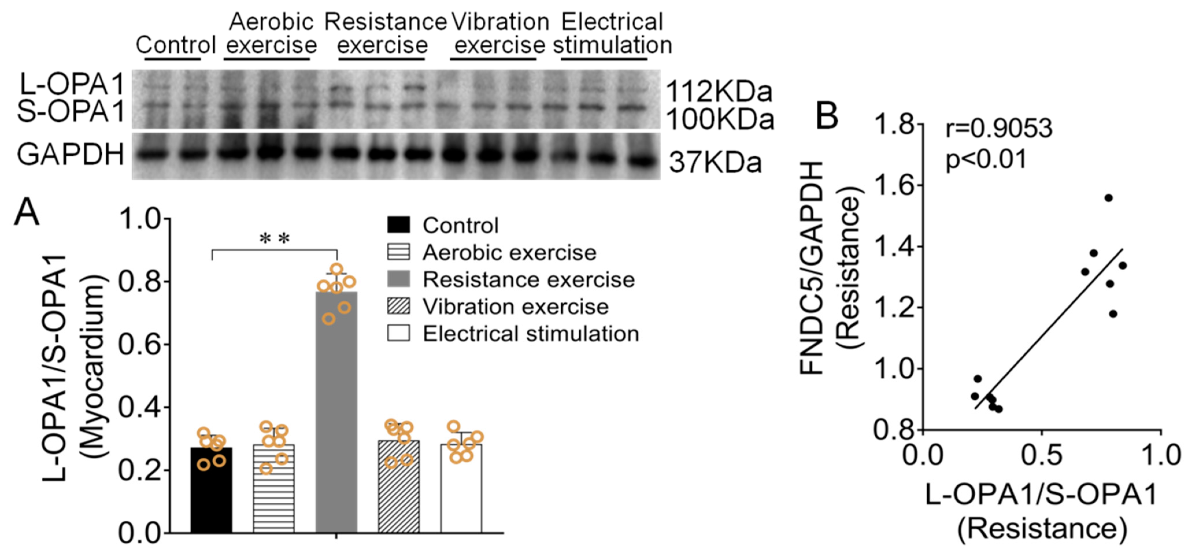 Biomedicines 09 00701 g005 550