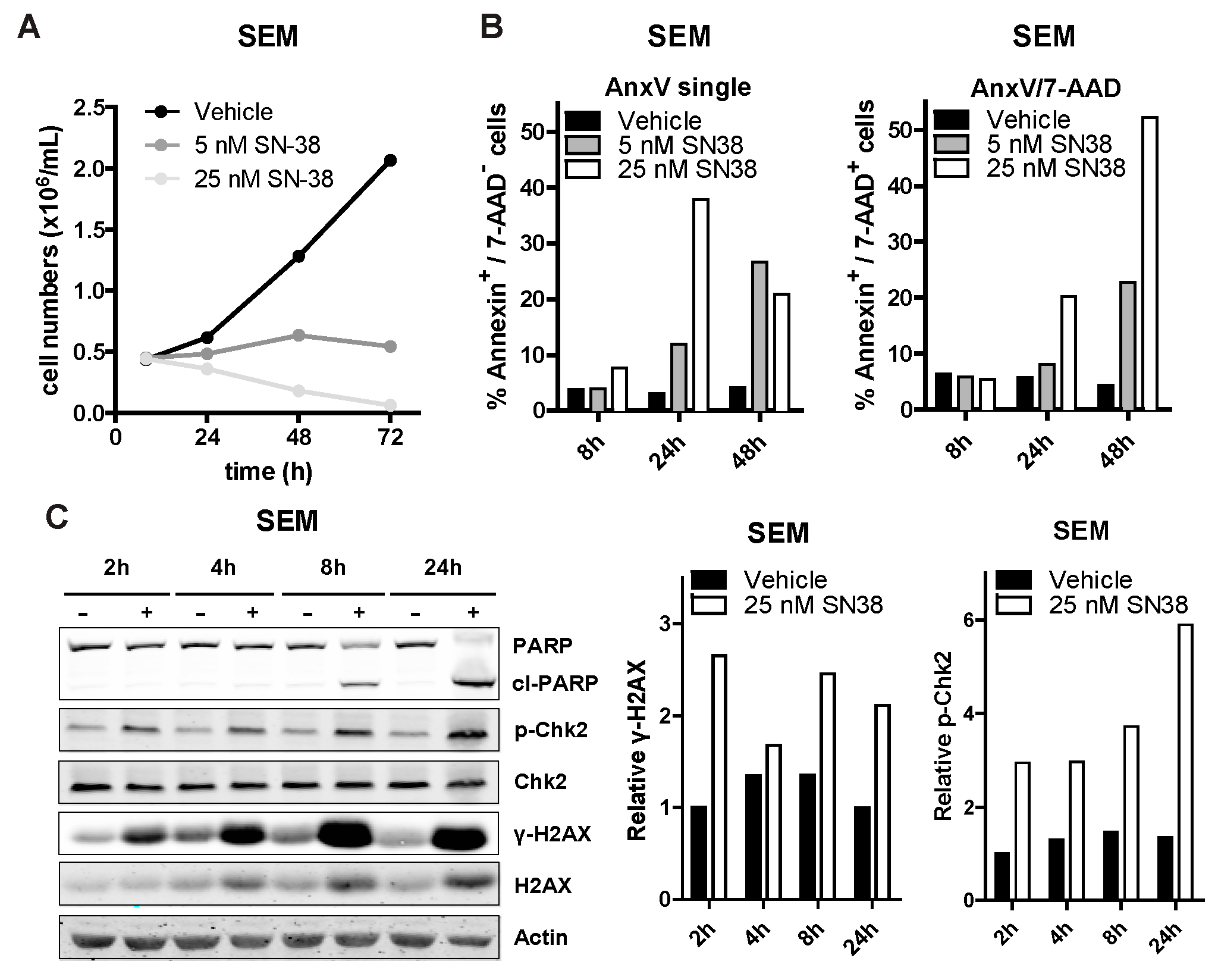 Biomedicines 09 00711 g003 550