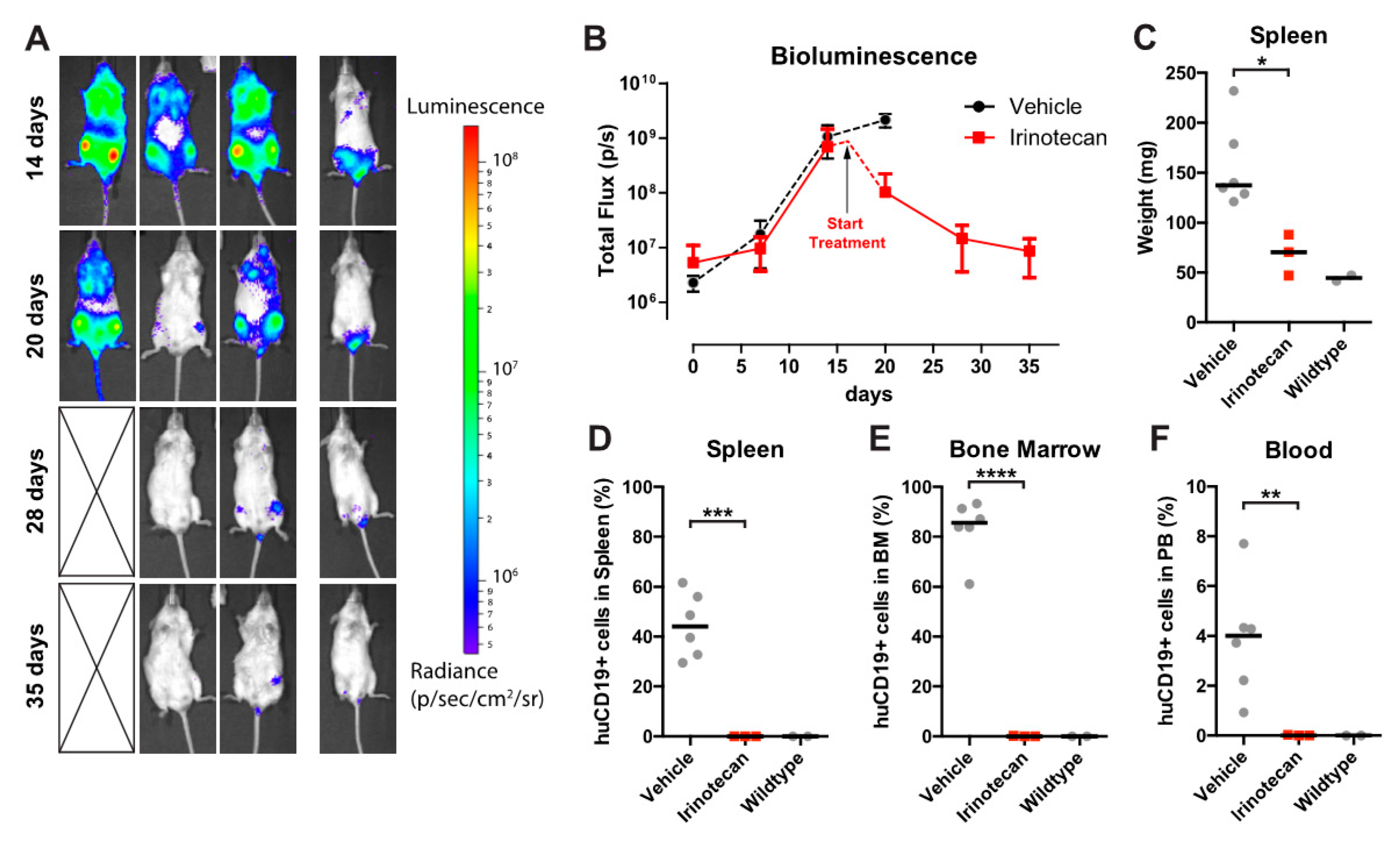 Biomedicines 09 00711 g005 550