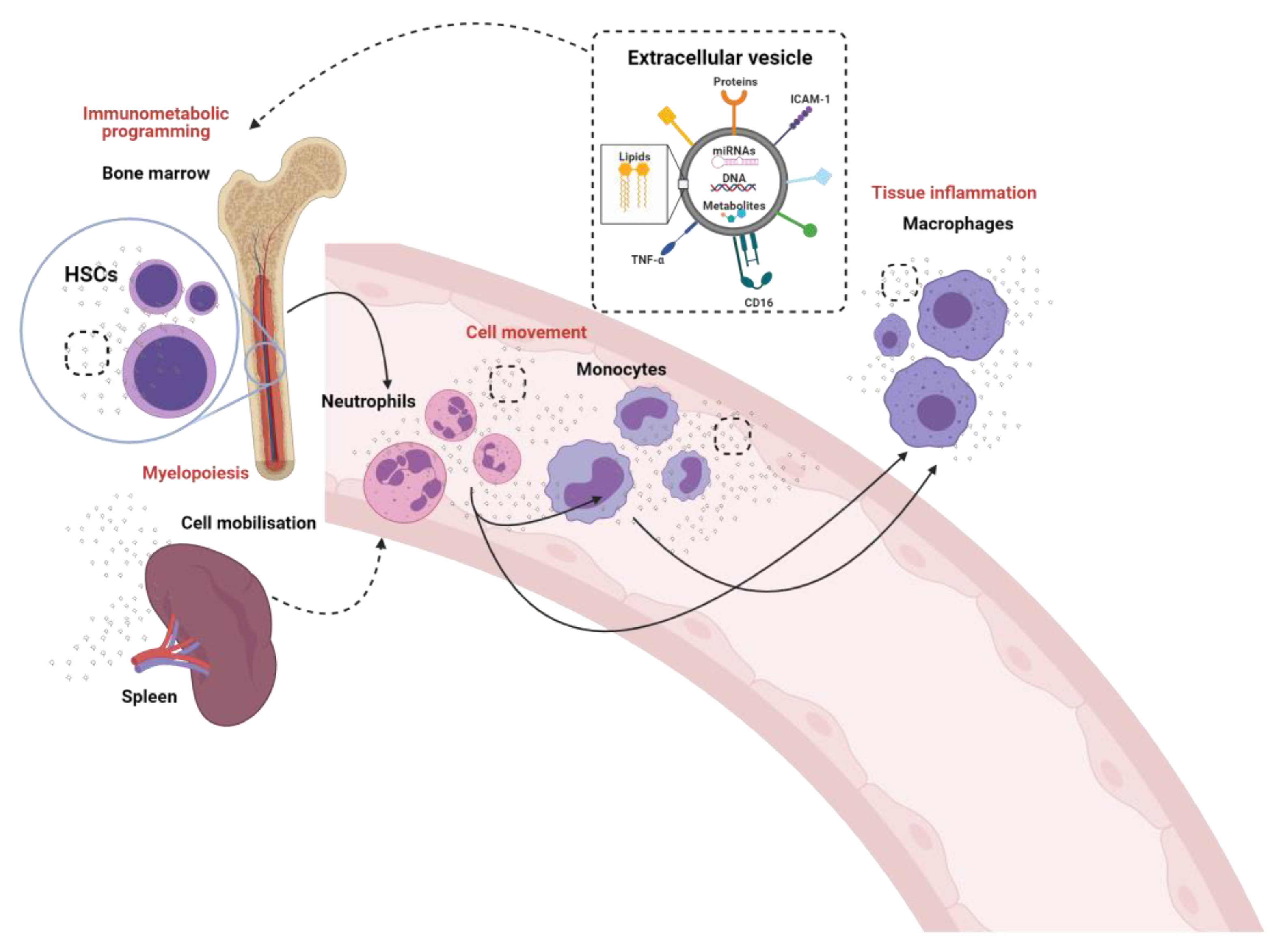 Biomedicines 09 00713 g001 550