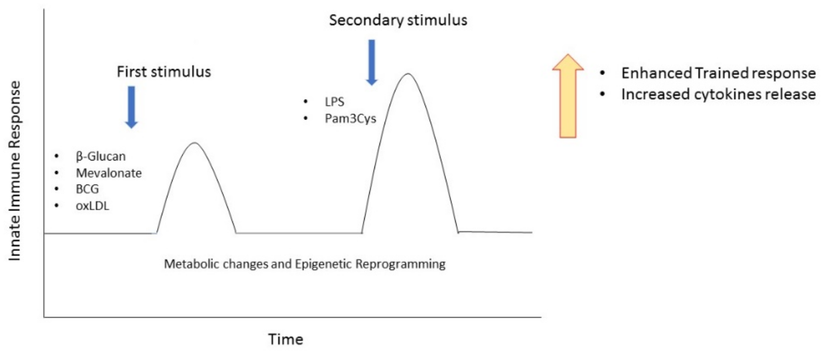 Biomedicines 09 00717 g002 Biomedicines 09 00717 g002