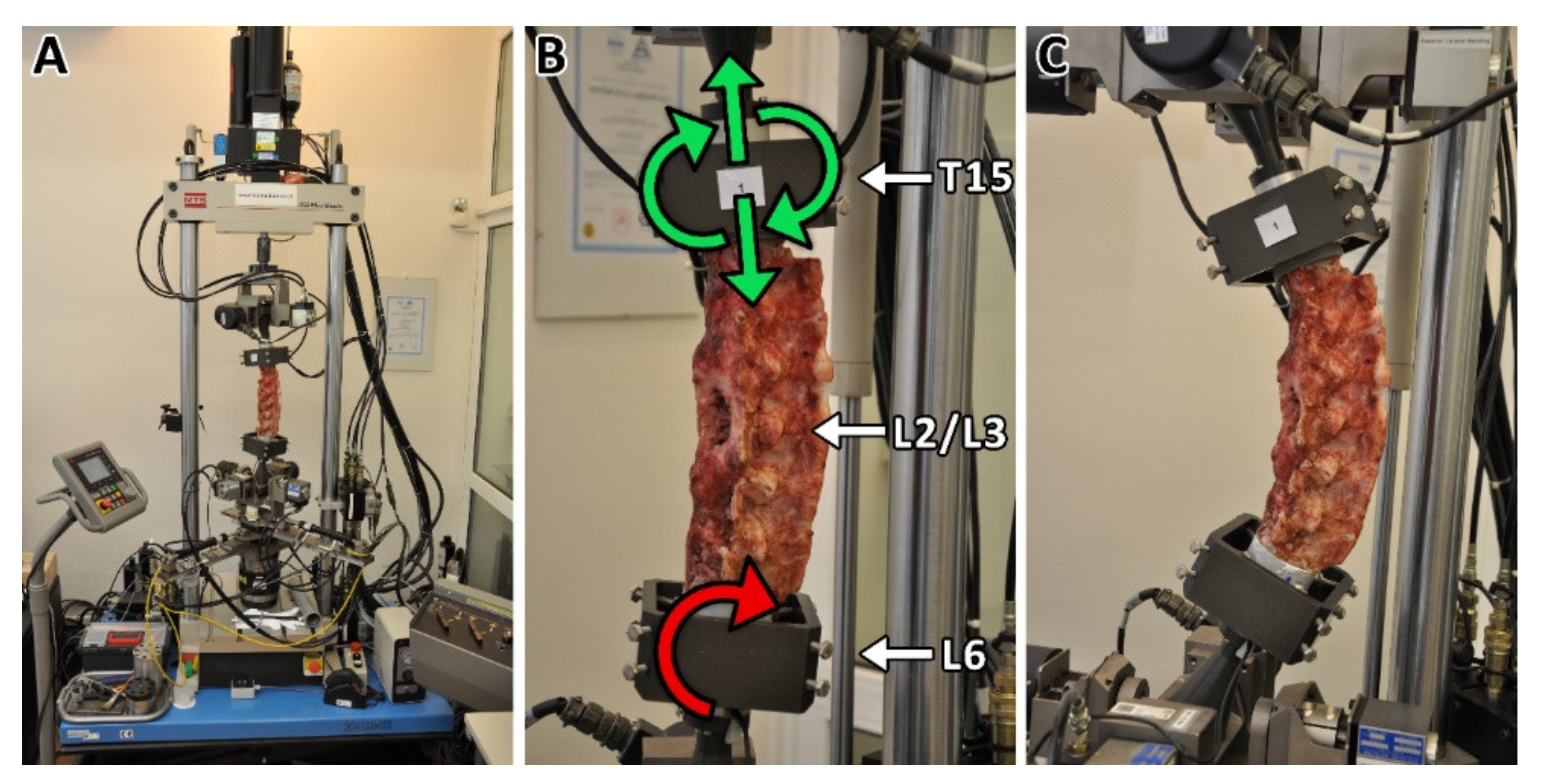 Biomedicines 09 00733 g001 Biomedicines 09 00733 g001