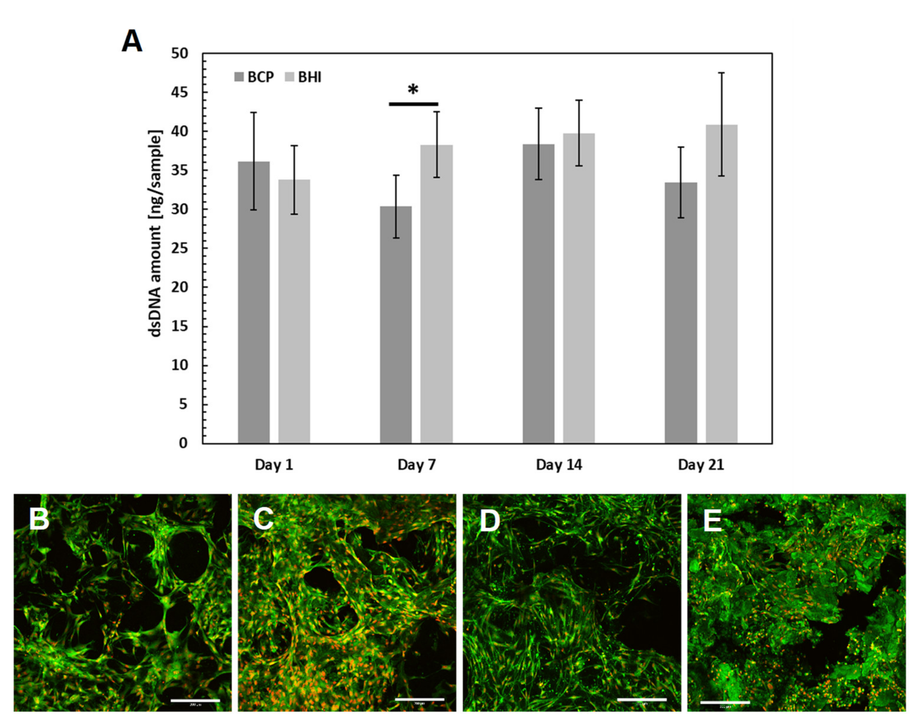 Biomedicines 09 00733 g004 Biomedicines 09 00733 g004