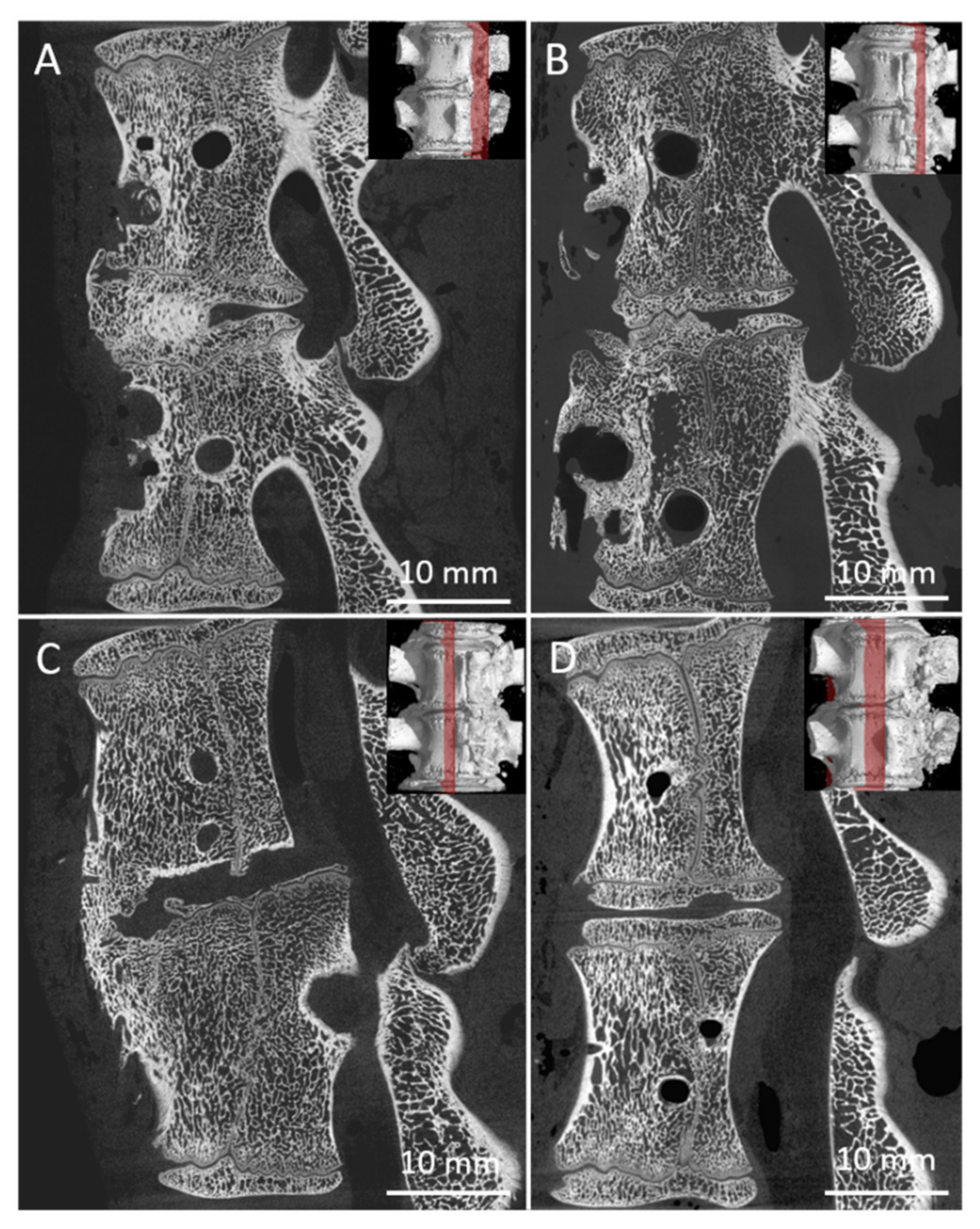 Biomedicines 09 00733 g008 Biomedicines 09 00733 g008