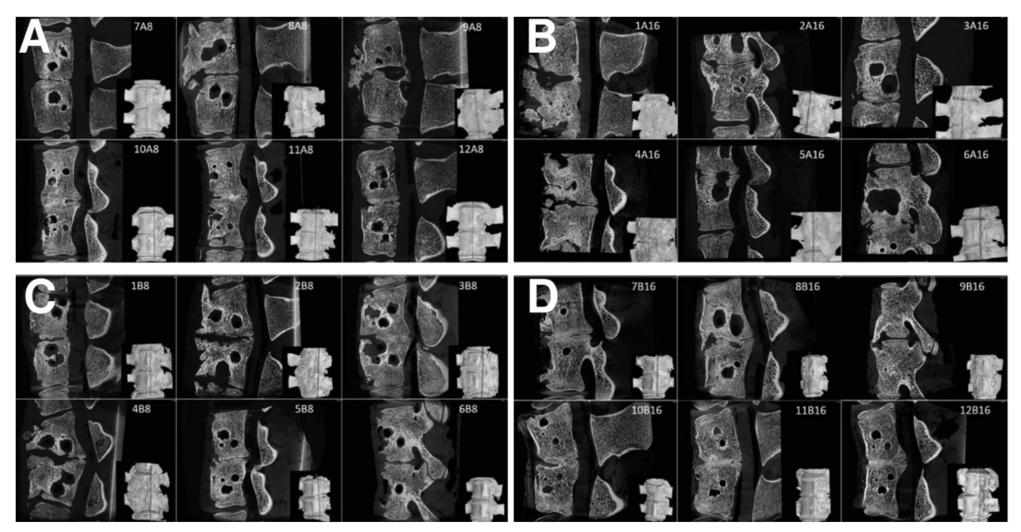 Biomedicines 09 00733 g009 Biomedicines 09 00733 g009