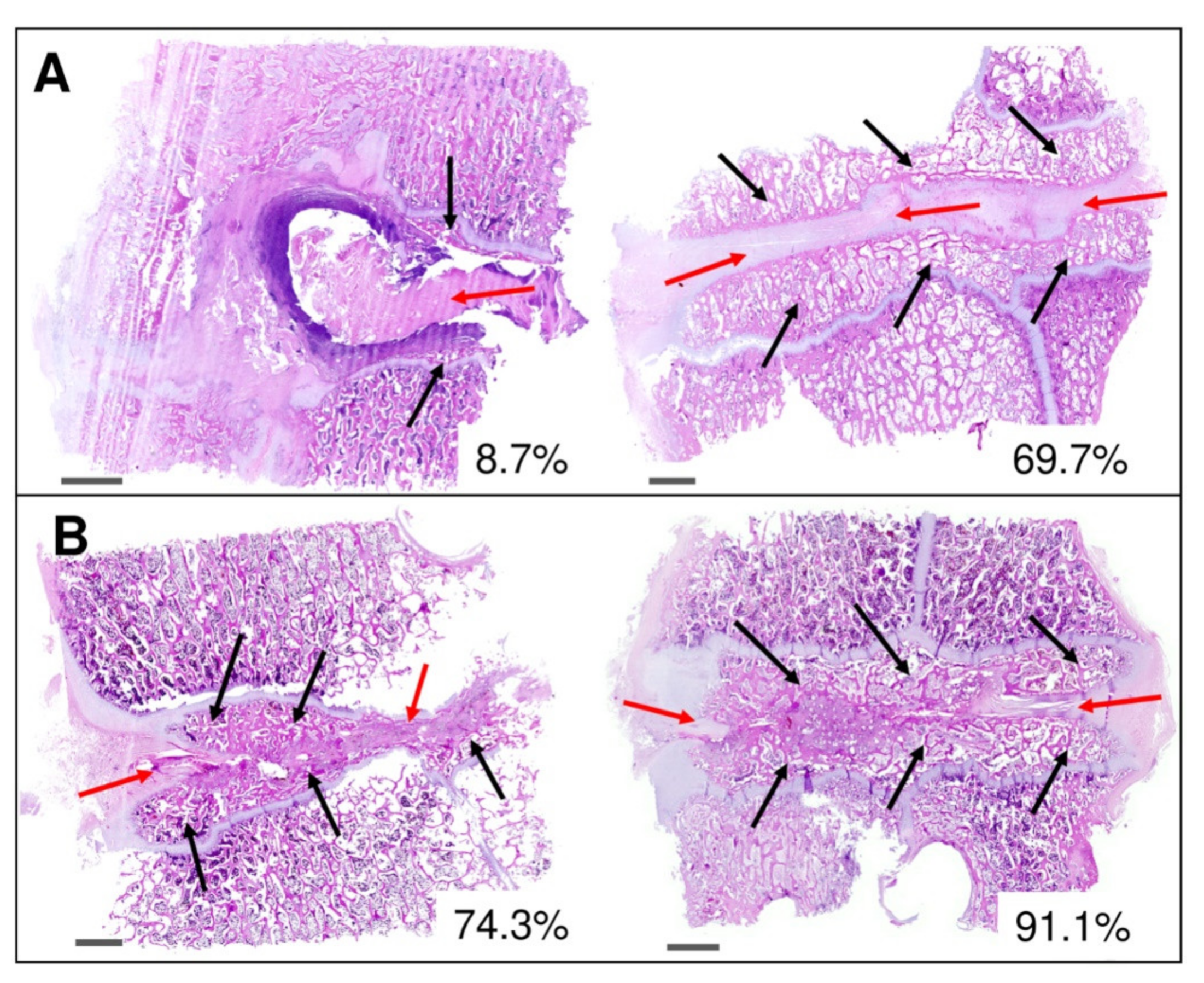 Biomedicines 09 00733 g011 Biomedicines 09 00733 g011