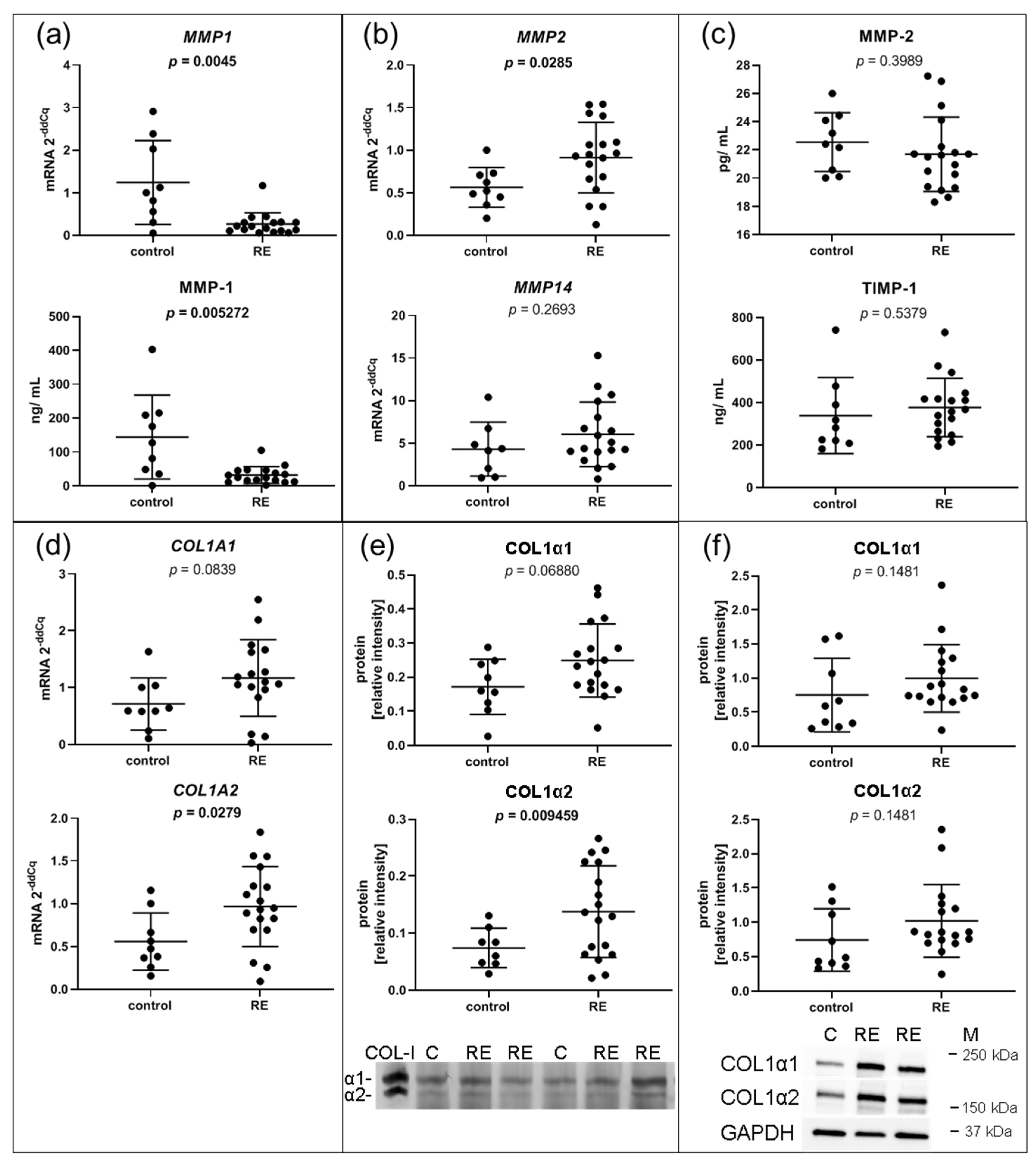 Biomedicines 09 00735 g004 Biomedicines 09 00735 g004
