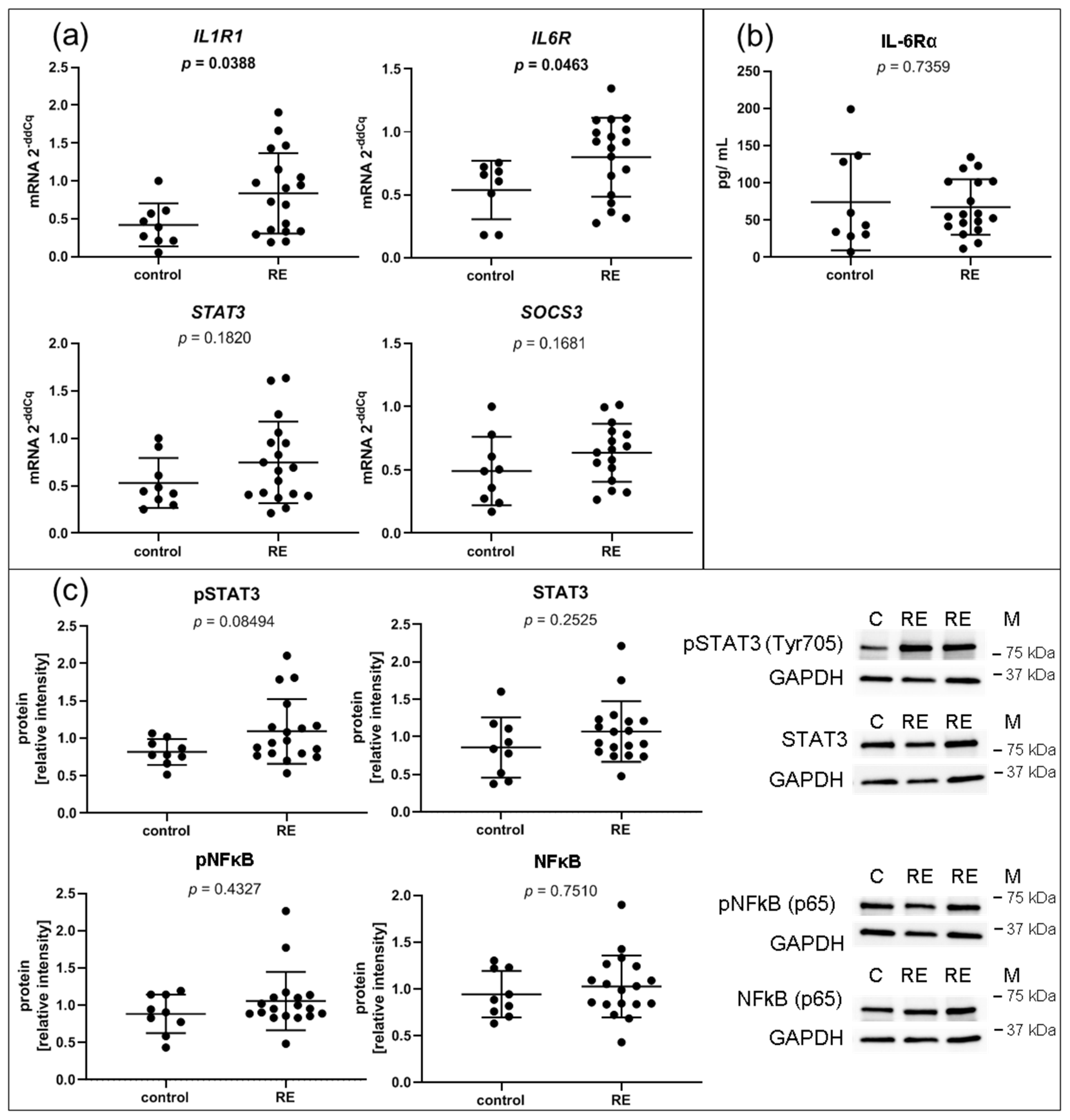 Biomedicines 09 00735 g006 Biomedicines 09 00735 g006