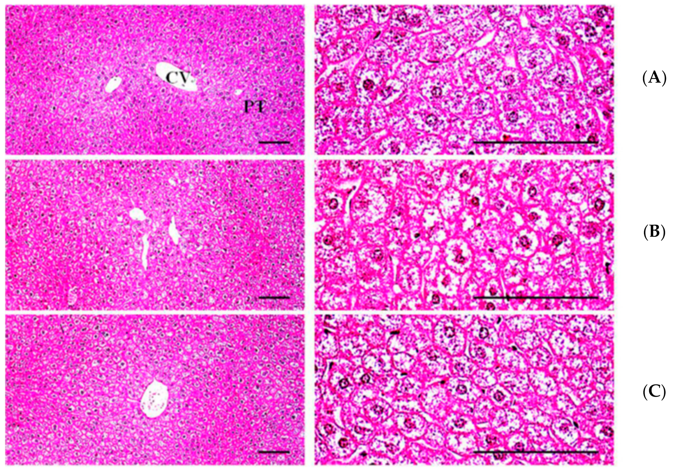 Biomedicines 09 00745 g0a1