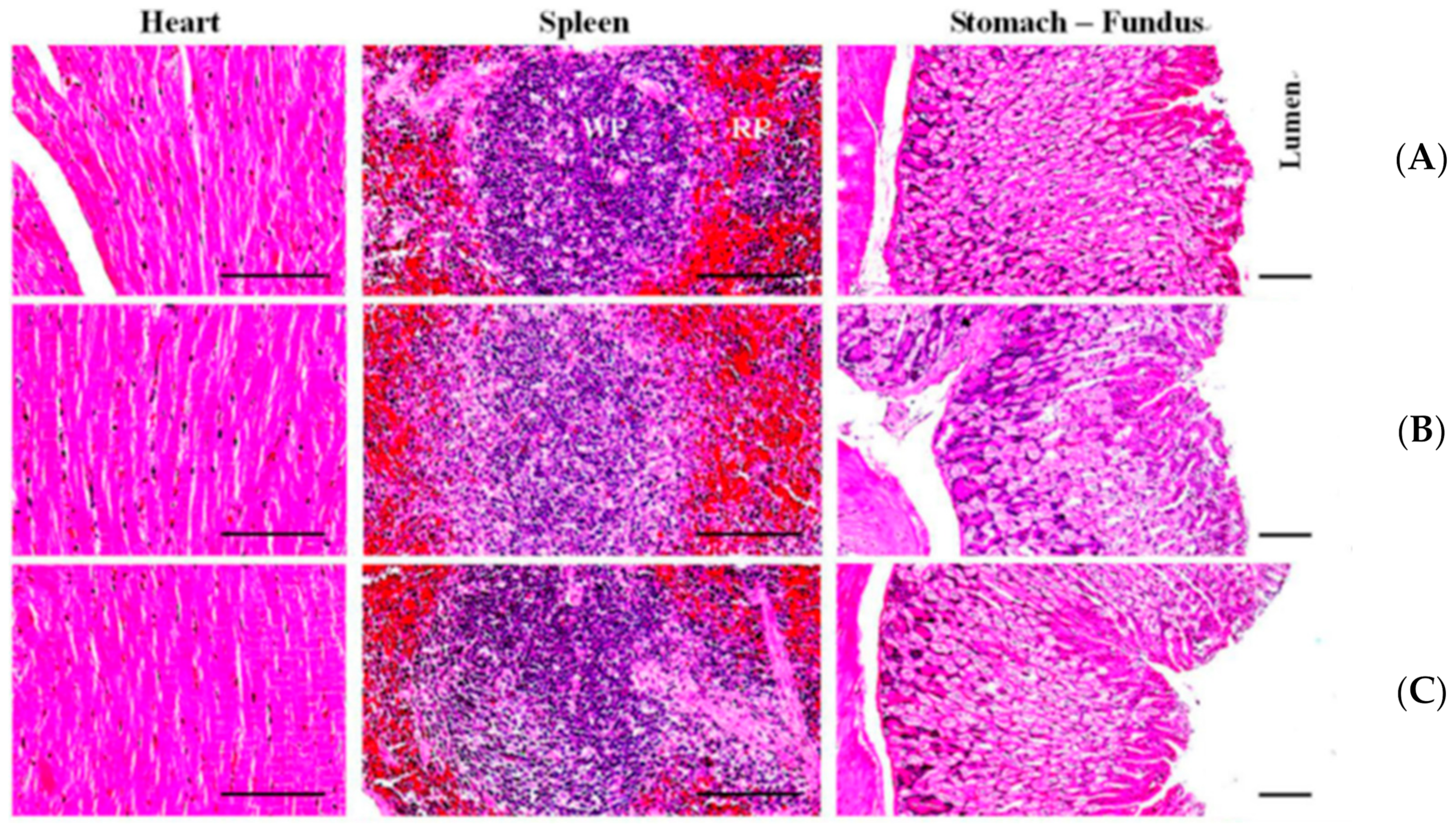 Biomedicines 09 00745 g0a2