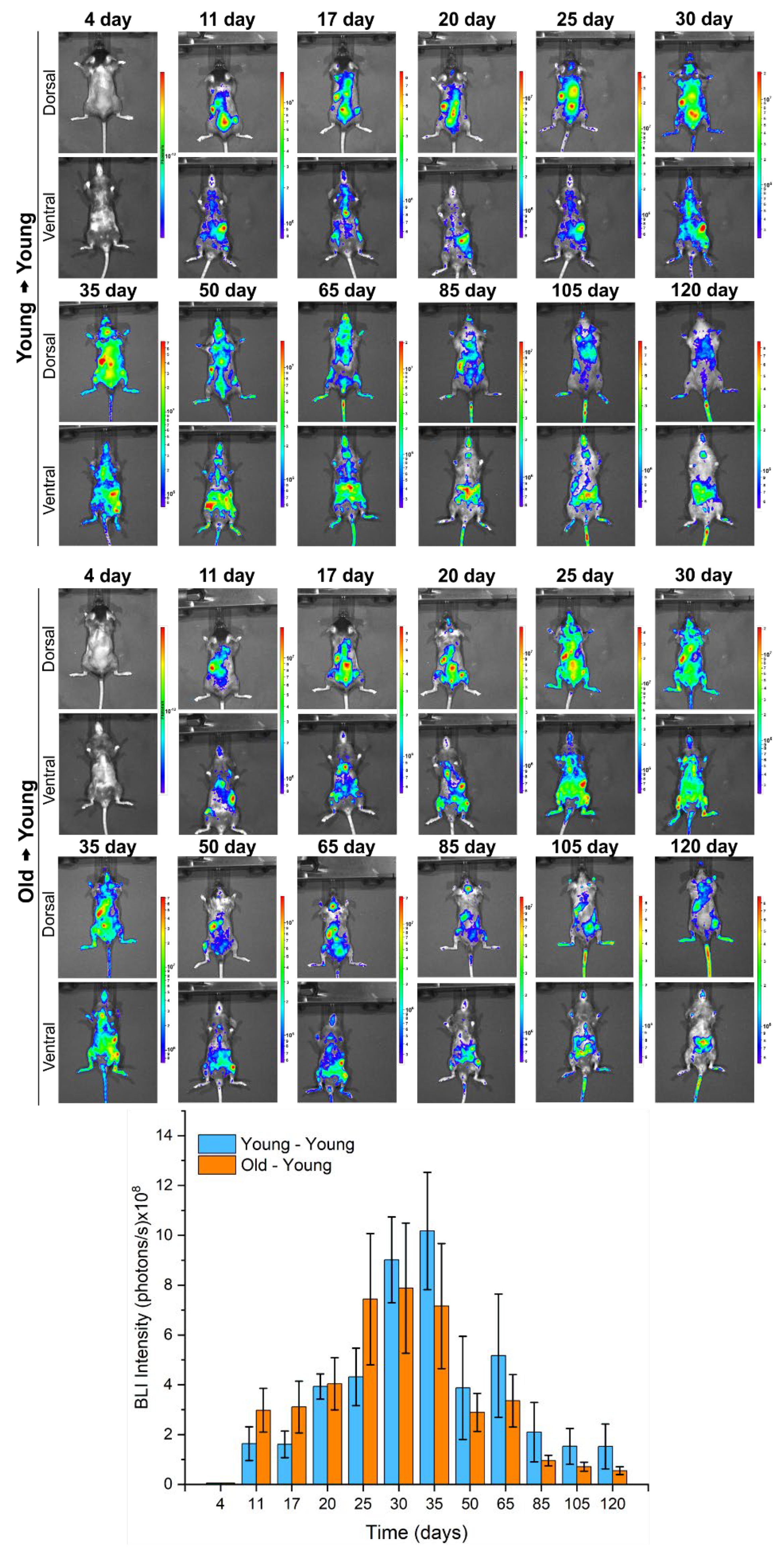 Biomedicines 09 00752 g009 Biomedicines 09 00752 g009