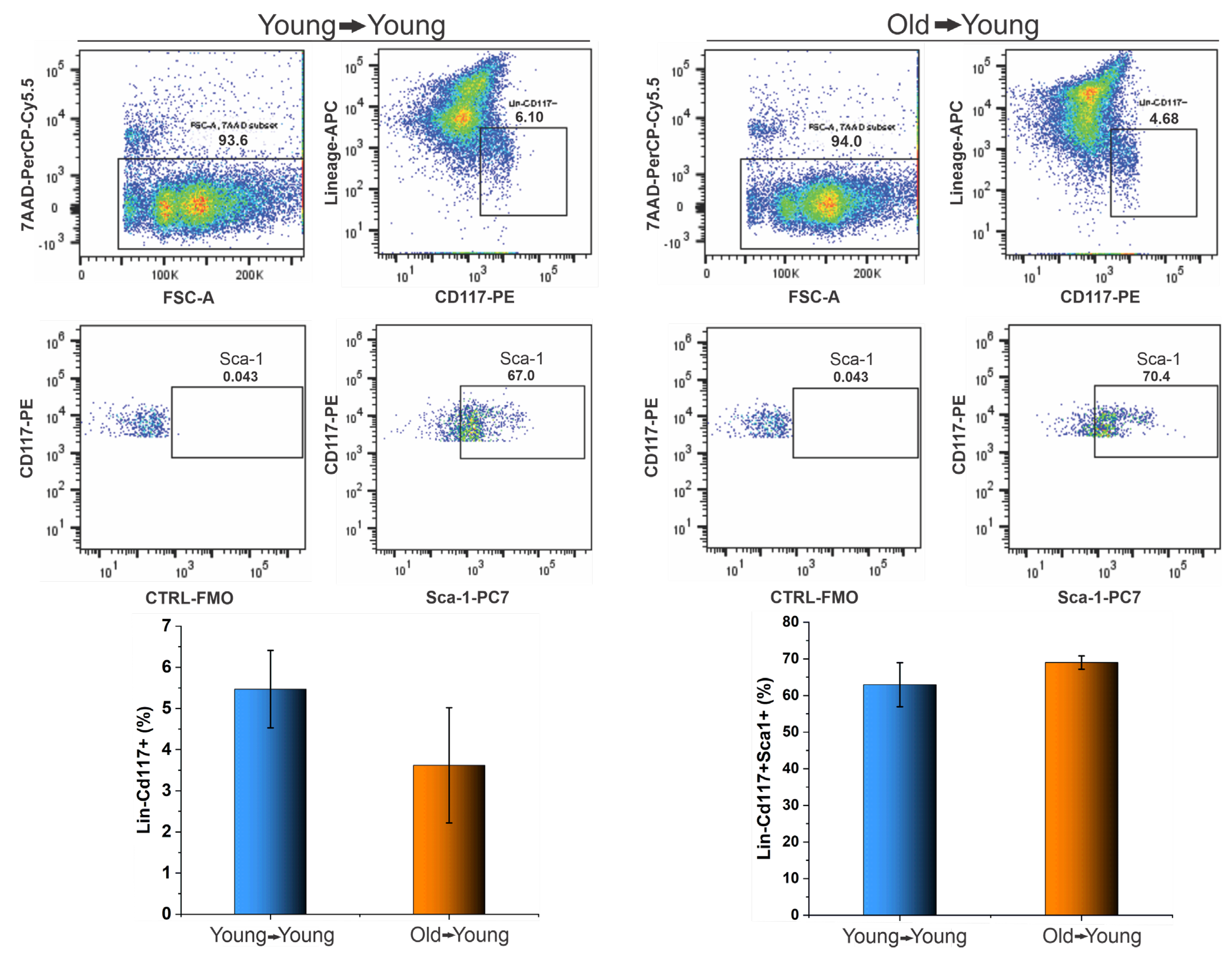 Biomedicines 09 00752 g013 Biomedicines 09 00752 g013