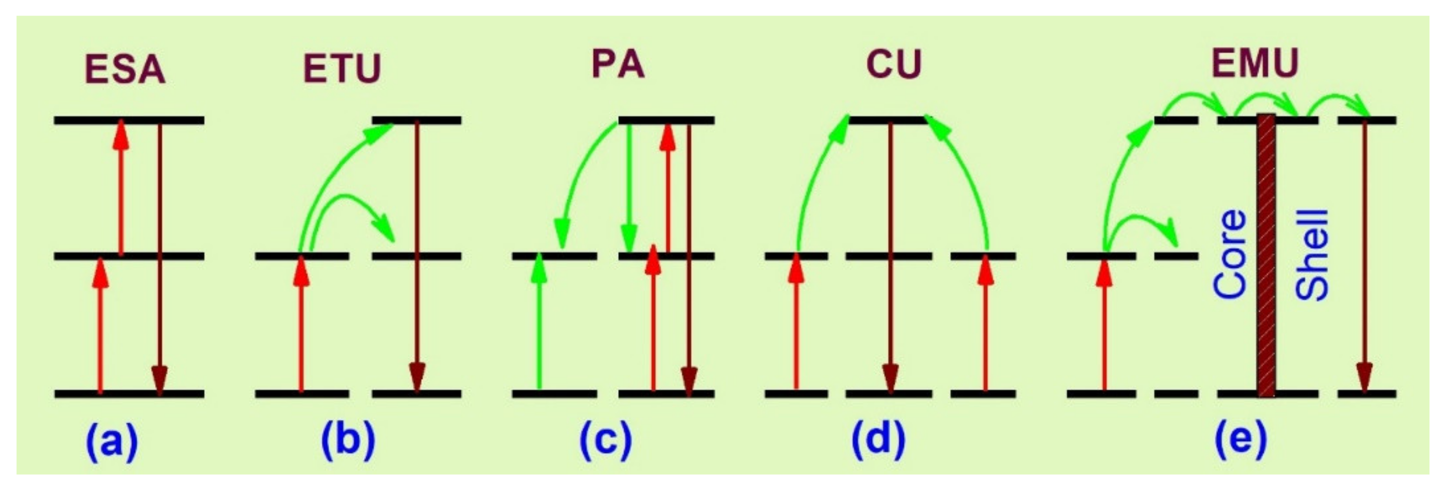 Biomedicines 09 00756 g001