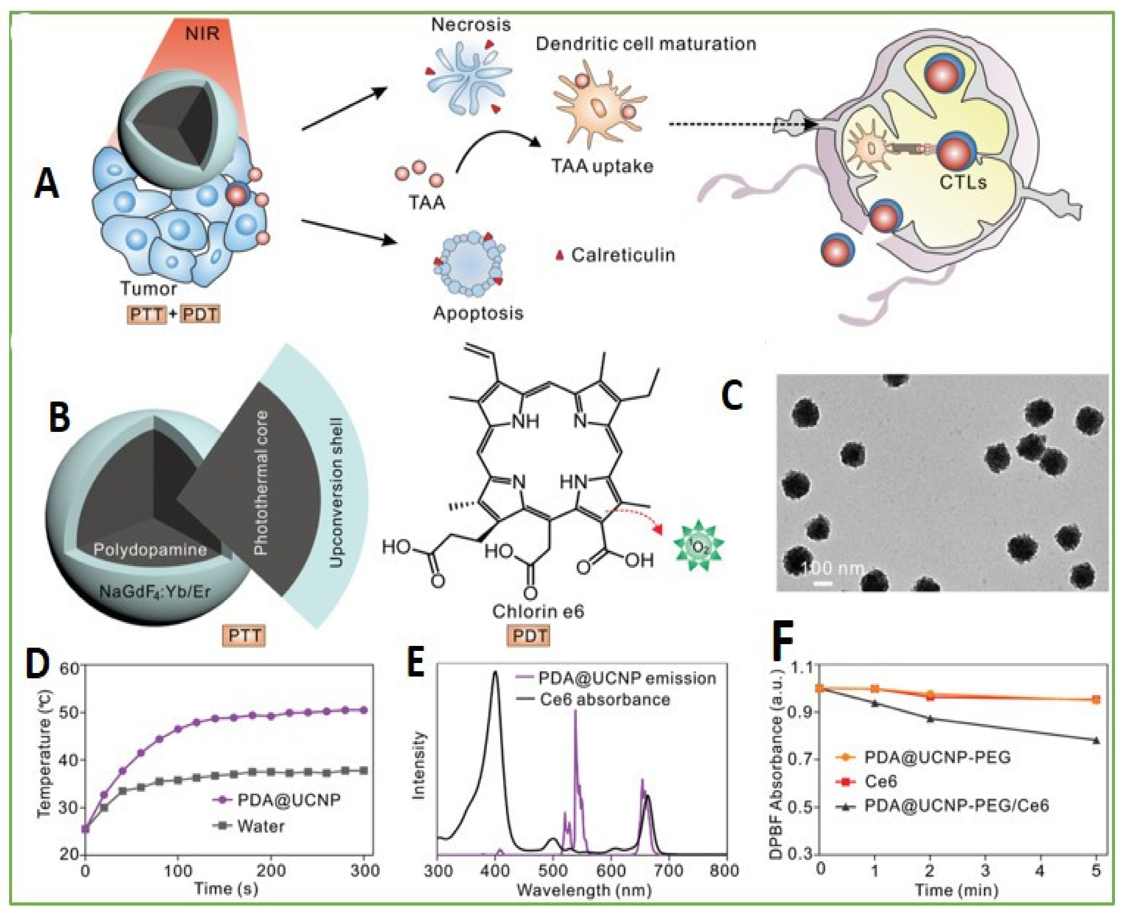 Biomedicines 09 00756 g003