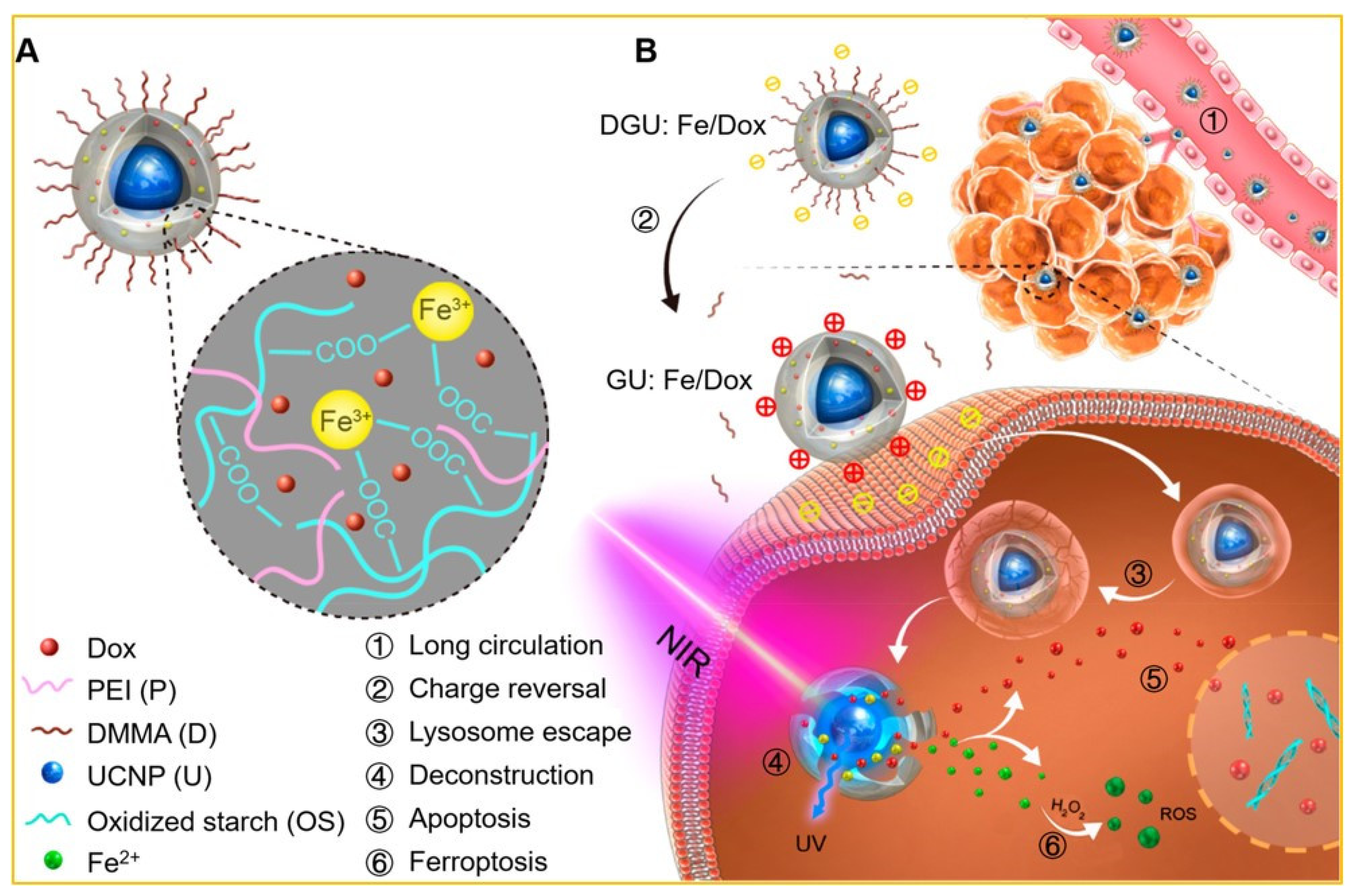 Biomedicines 09 00756 g004