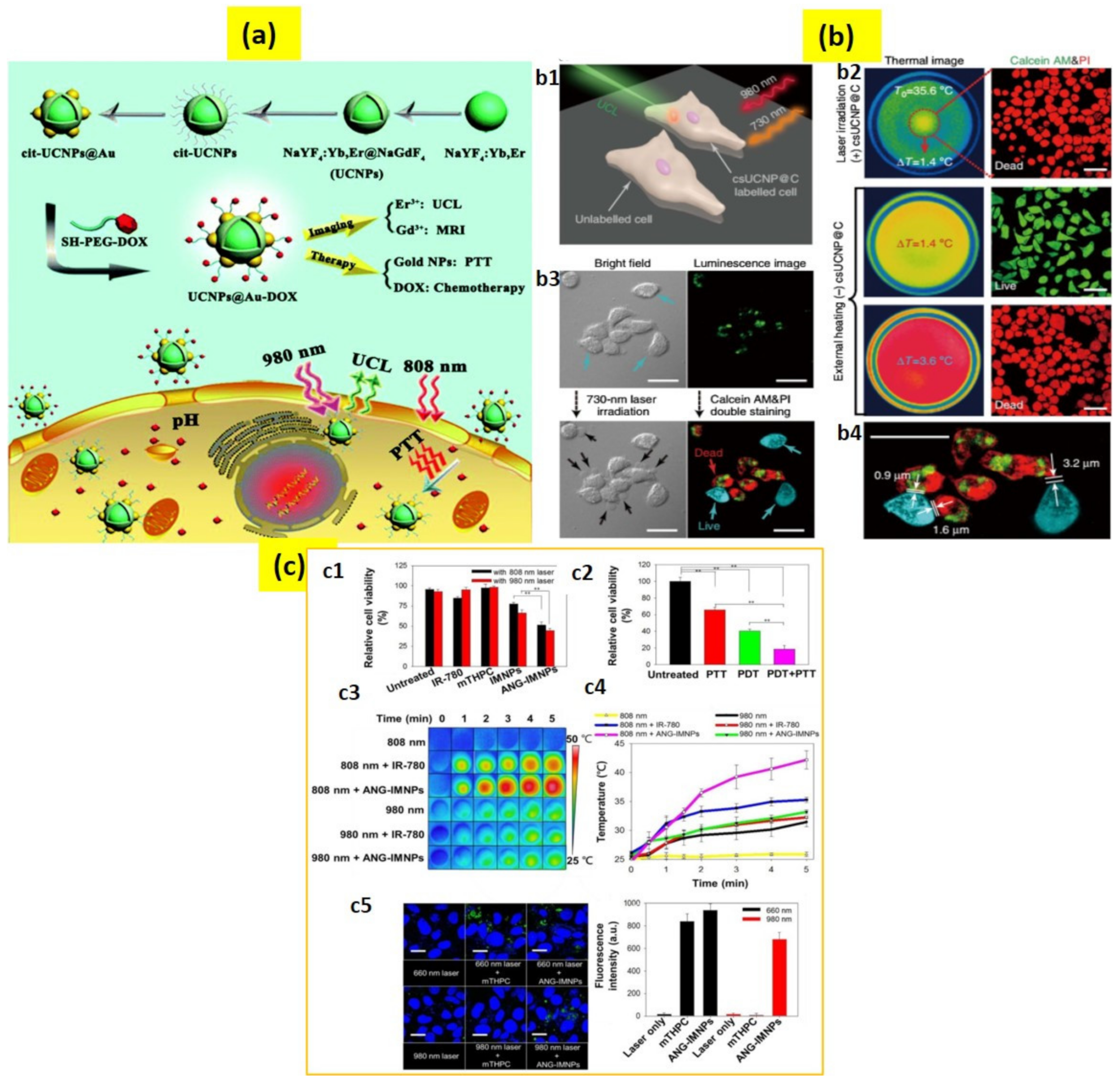 Biomedicines 09 00756 g005