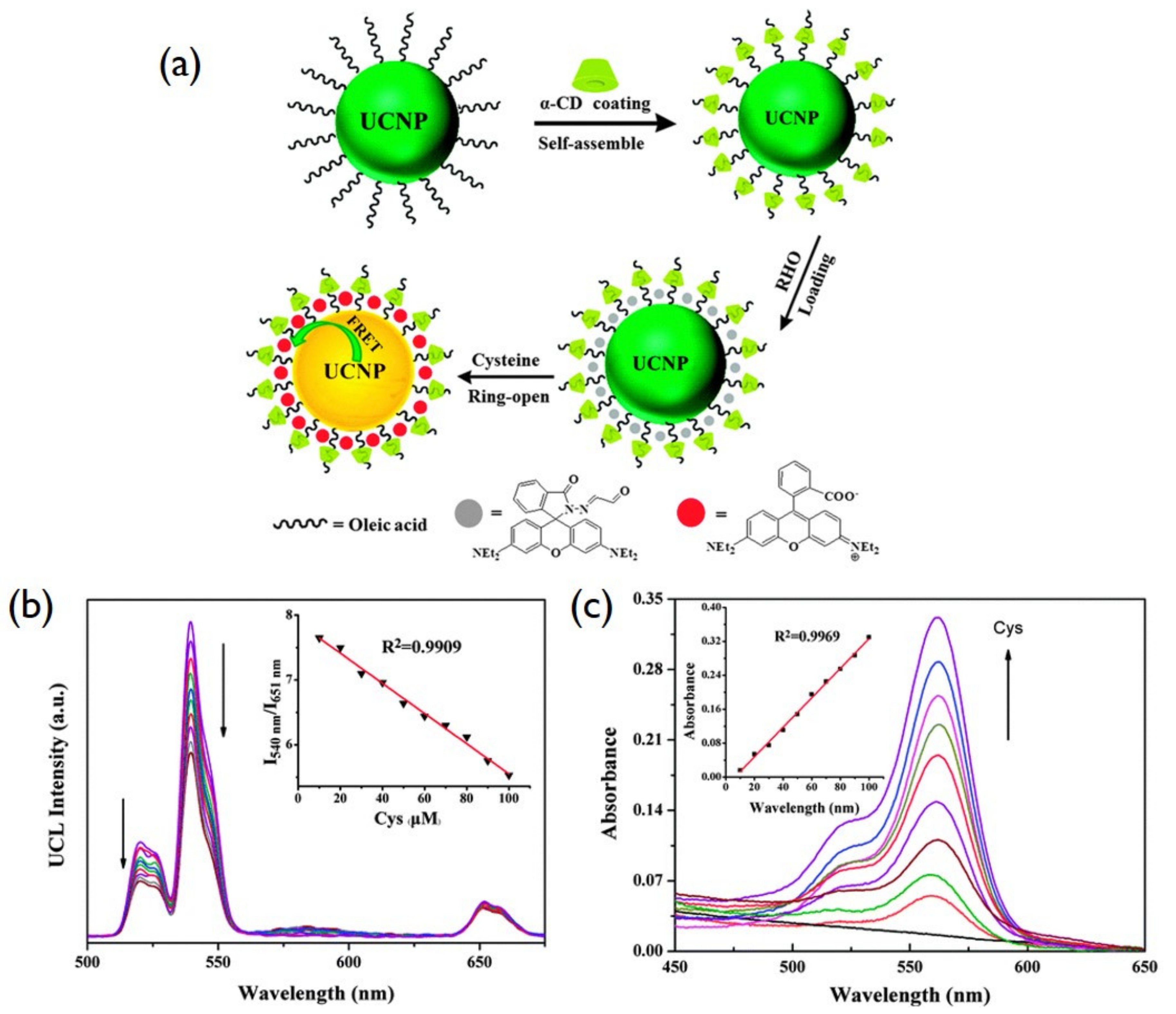 Biomedicines 09 00756 g007
