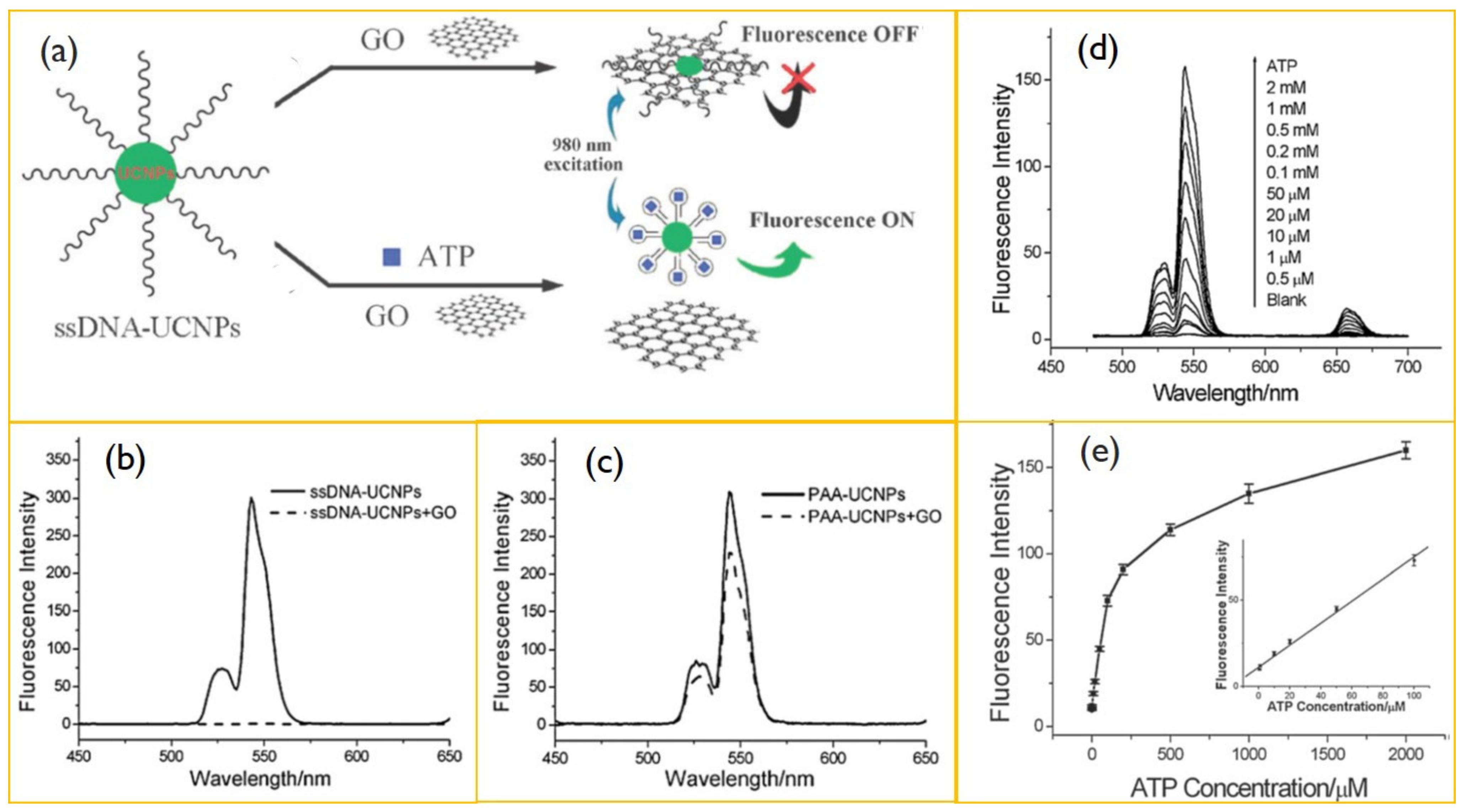 Biomedicines 09 00756 g008
