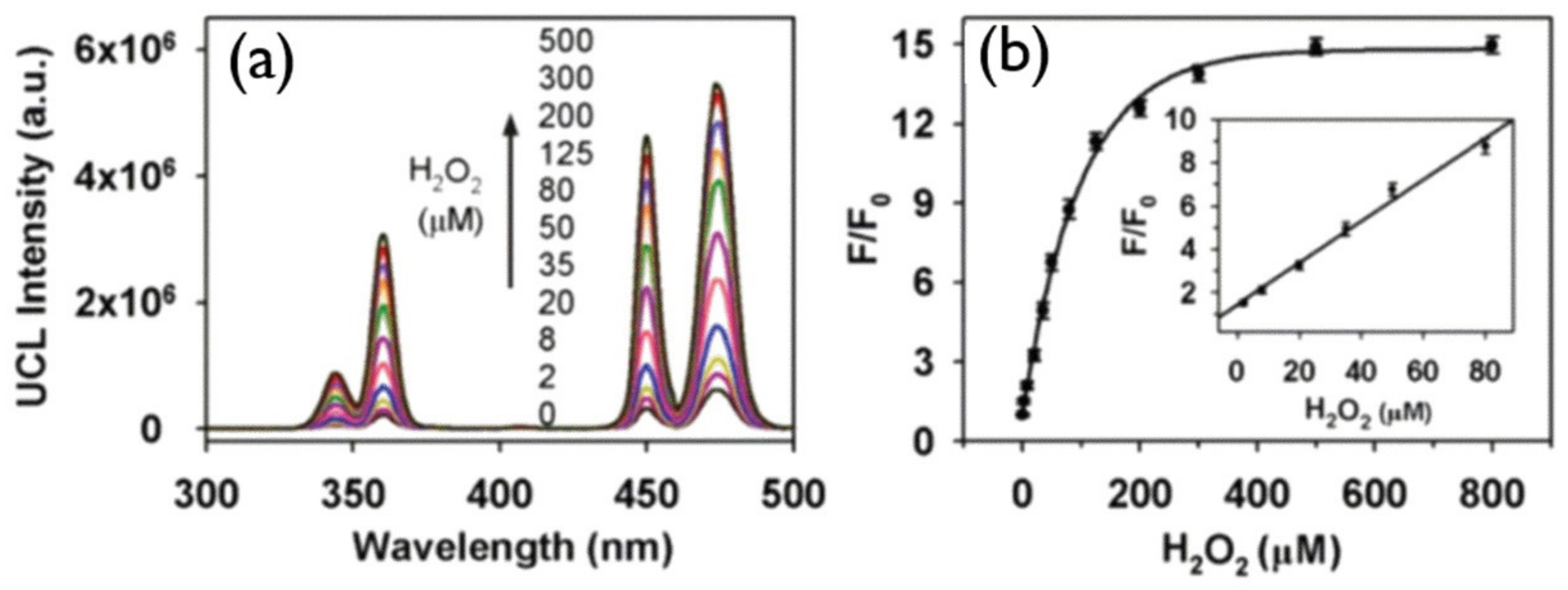 Biomedicines 09 00756 g009