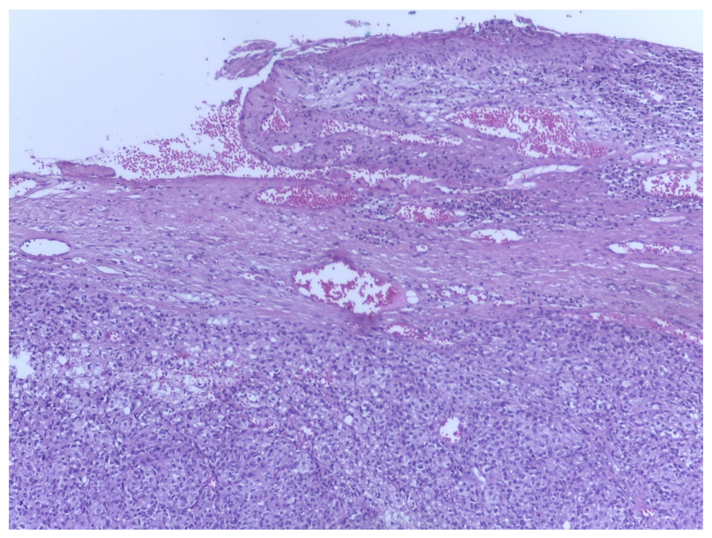 Biomedicines 09 00758 g003